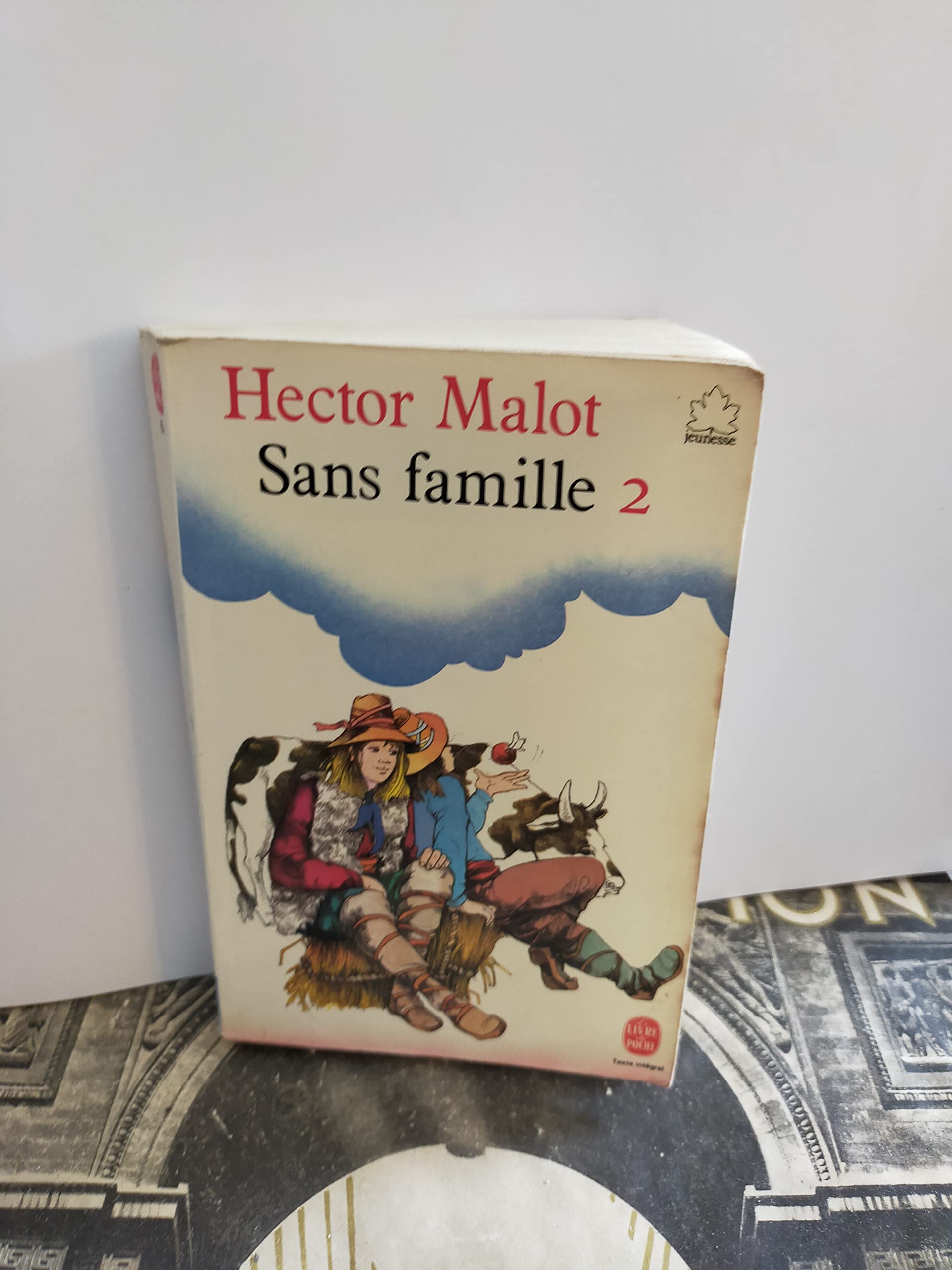 Sans famille, tome 2 9782010163401