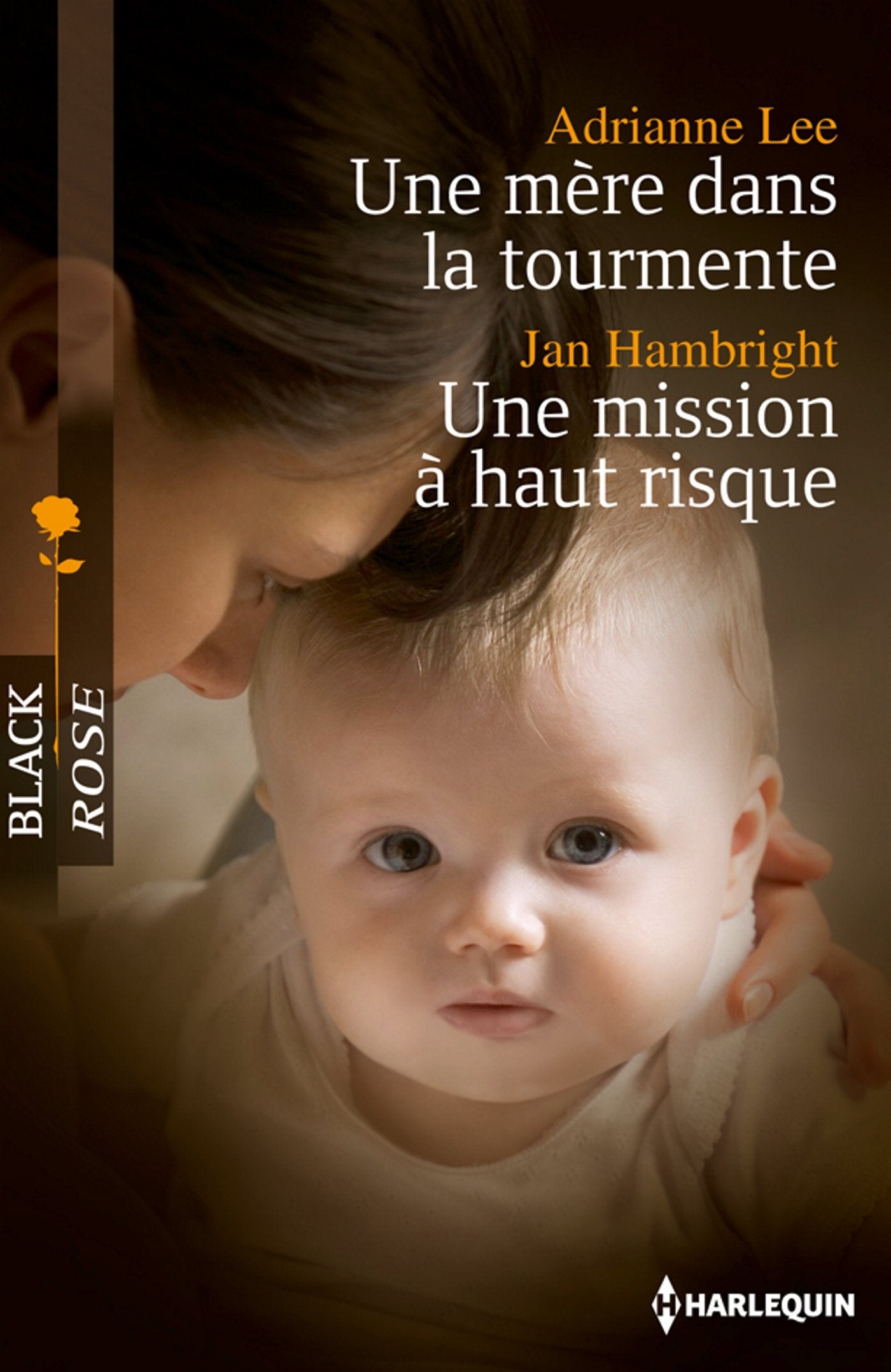 Une mère dans la tourmente ; Une mission à haut risque 9782280246934