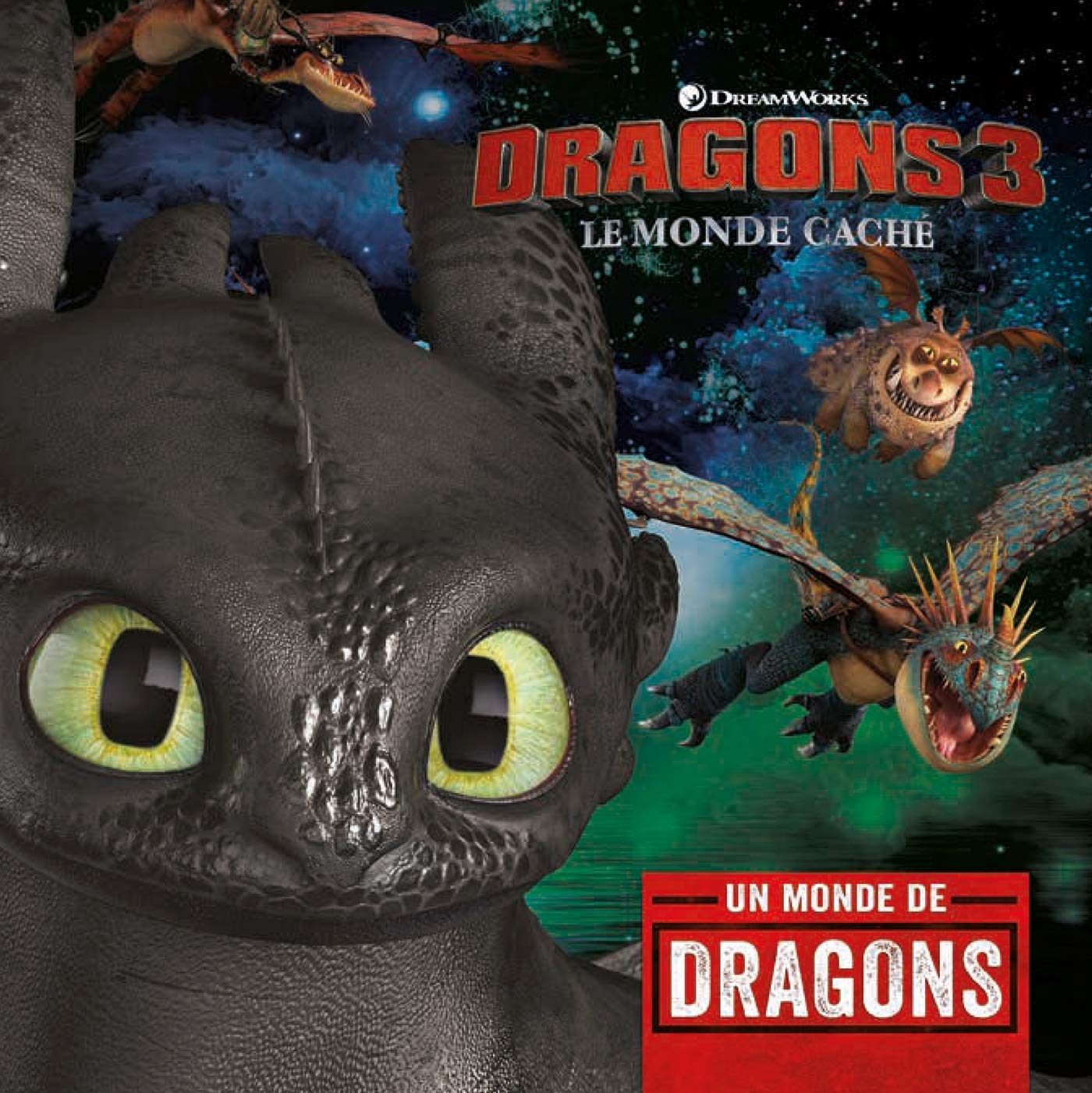 Dragons 3 - Un monde de Dragons 9782011562081