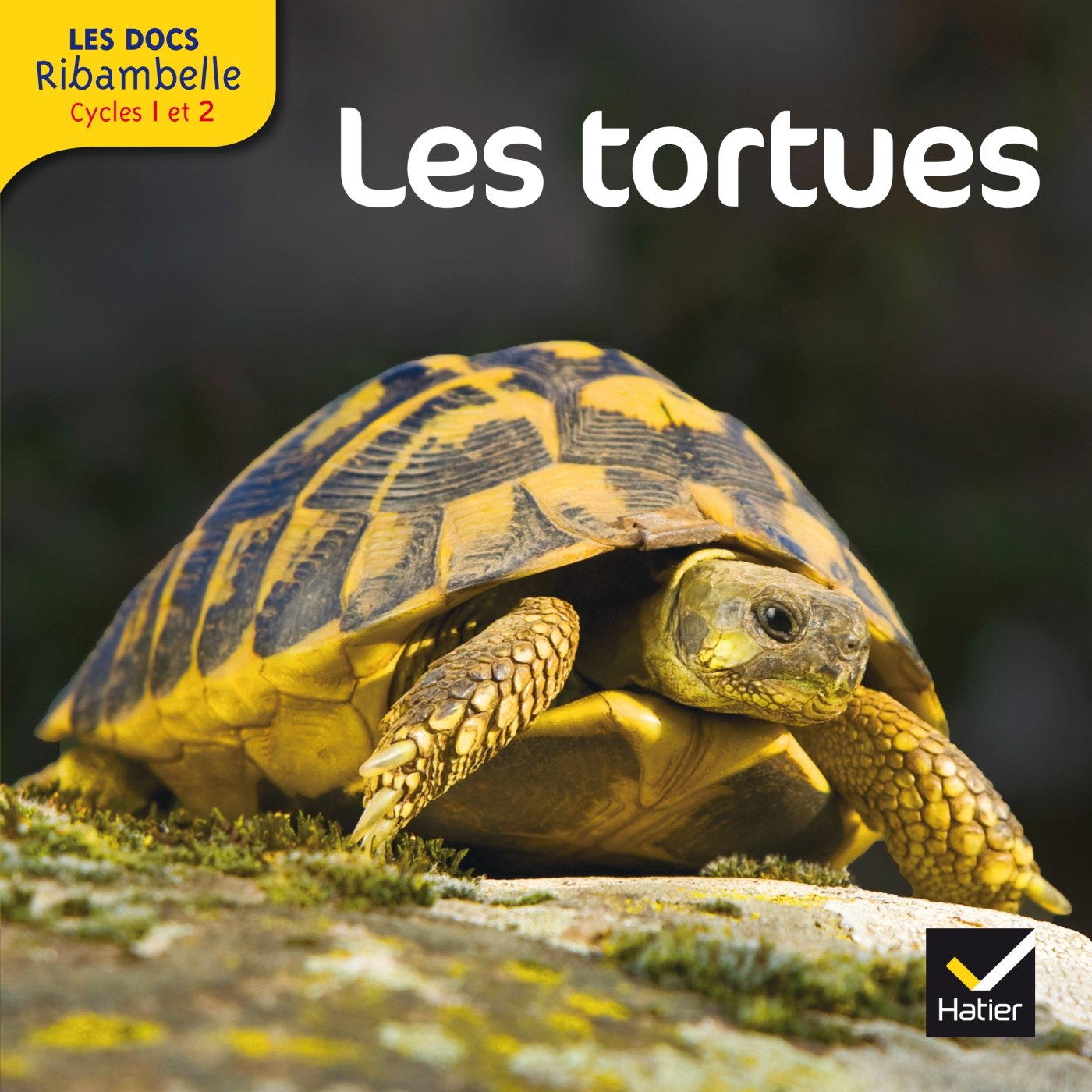 Les docs Ribambelle cycle 2 éd. 2013 - Les tortues 9782218957338