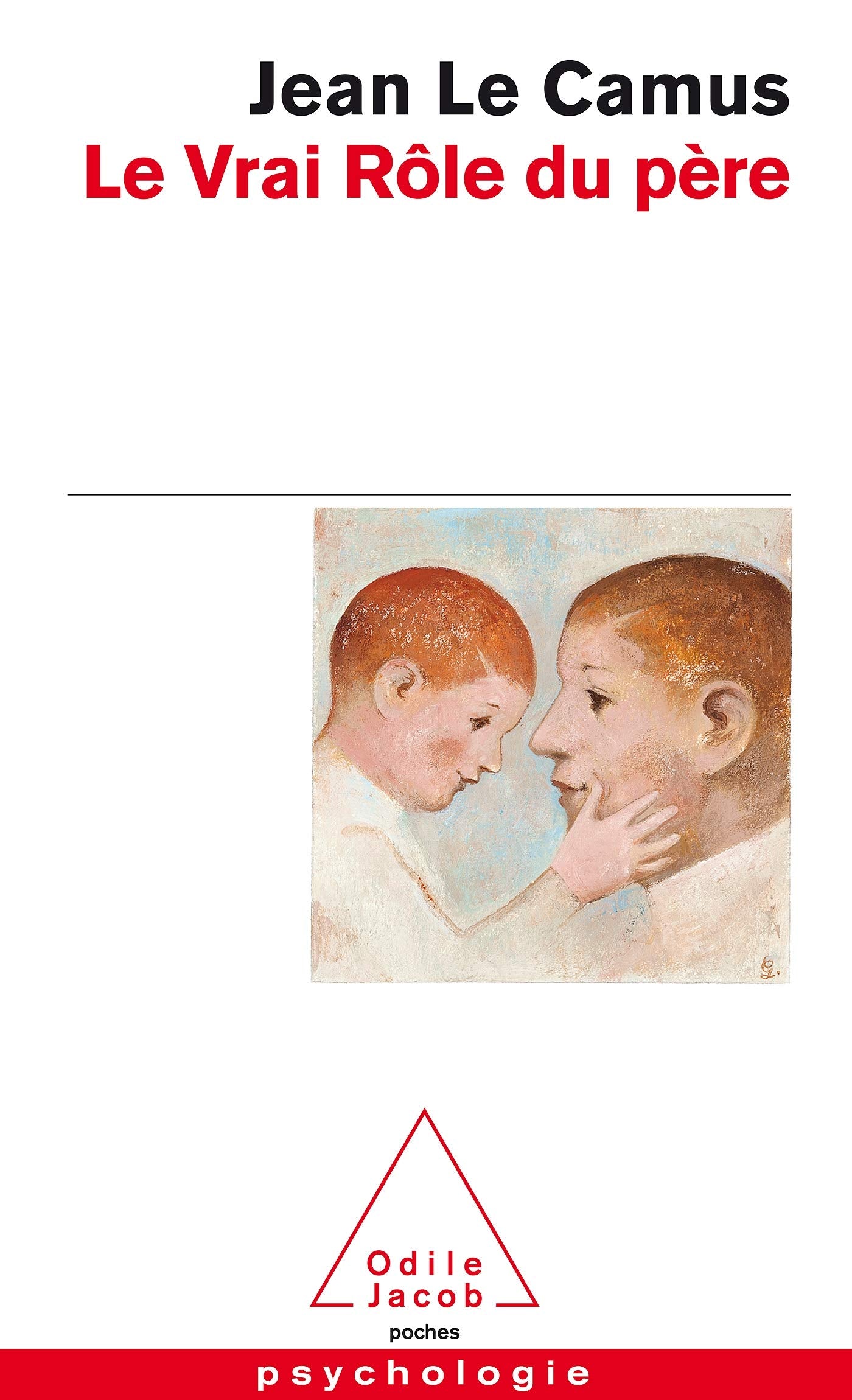 Le Vrai Rôle du père 9782738113474