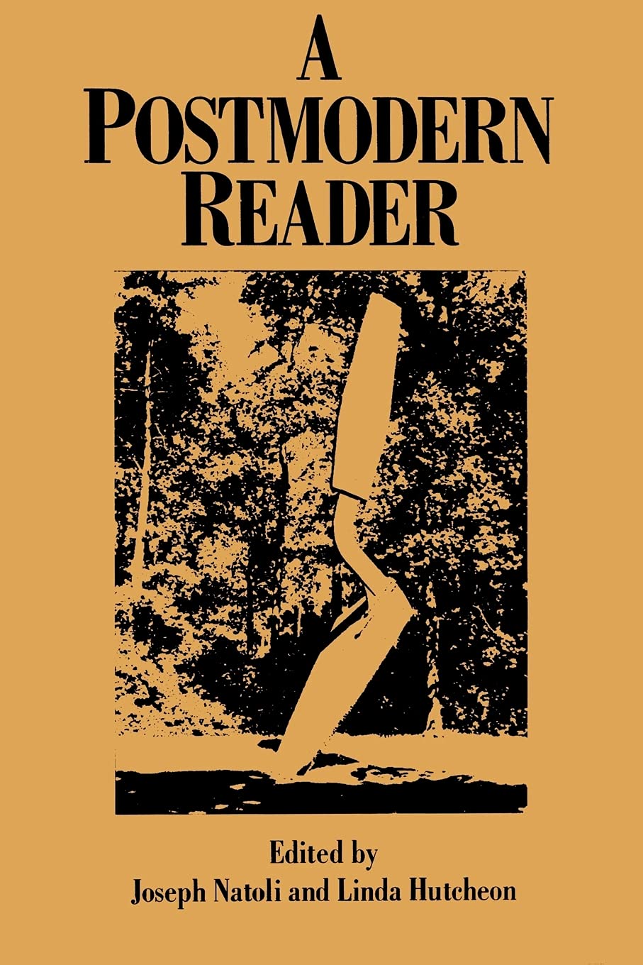 A Postmodern Reader 9780791416389