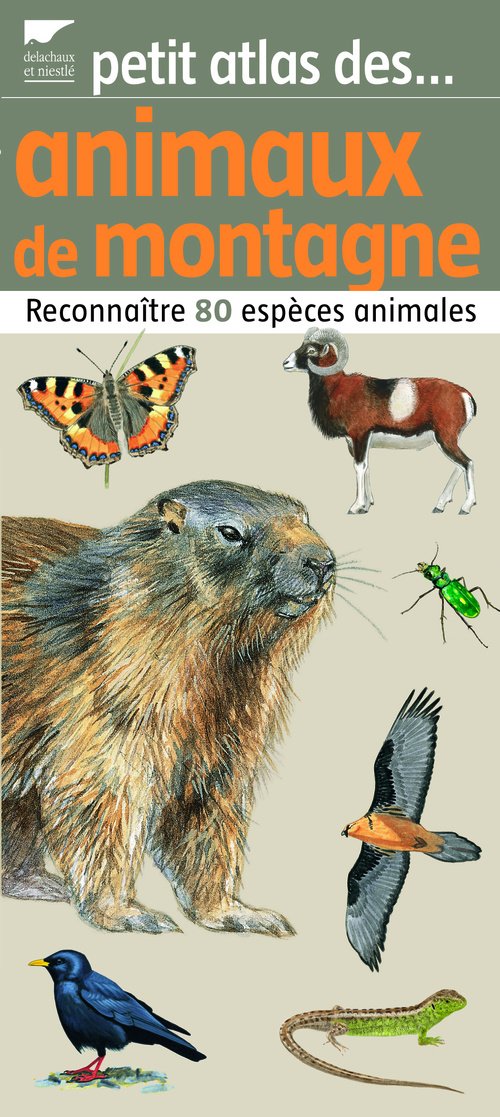 Petit atlas des animaux de montagne 9782603016626