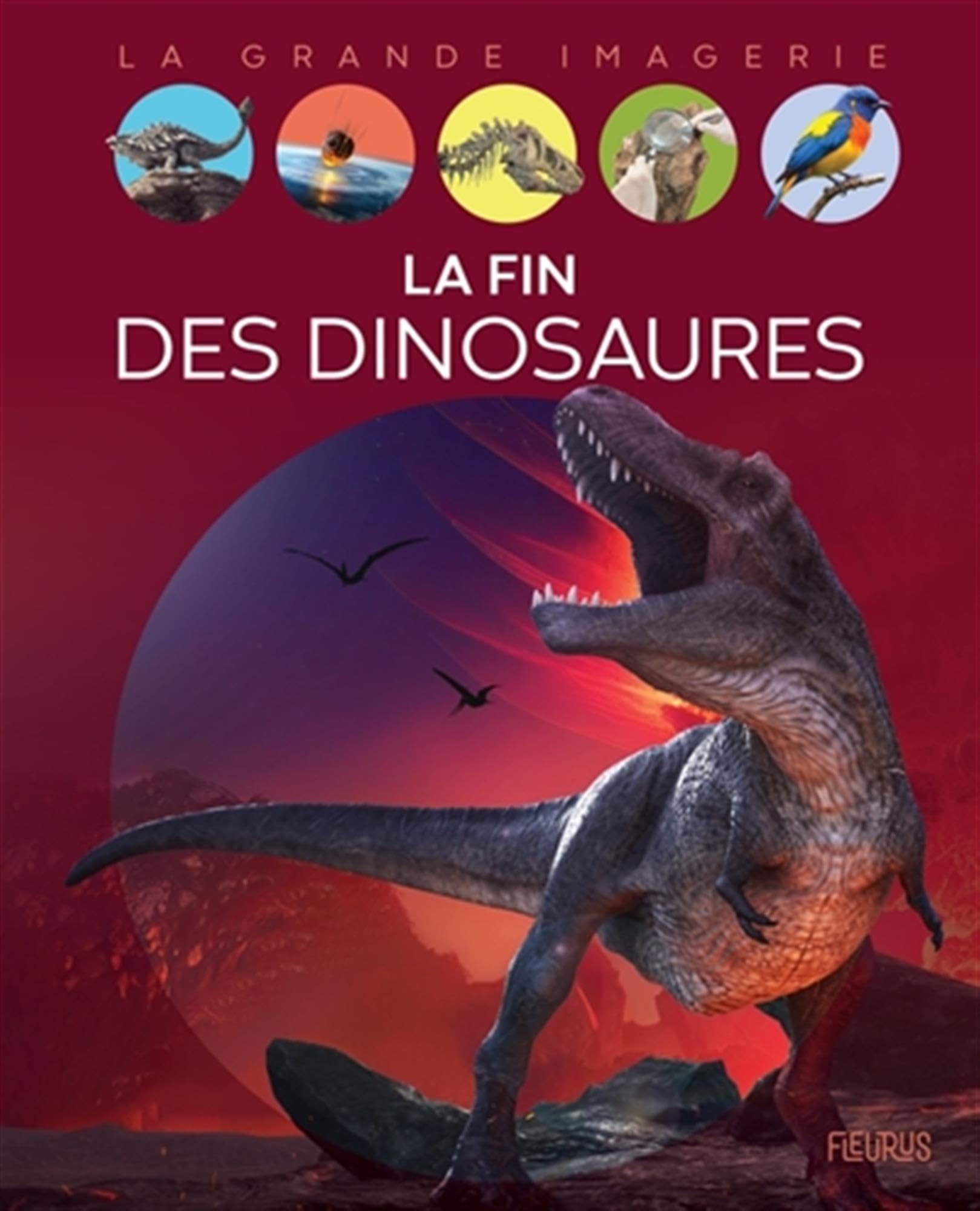 La fin des dinosaures 9782215194378