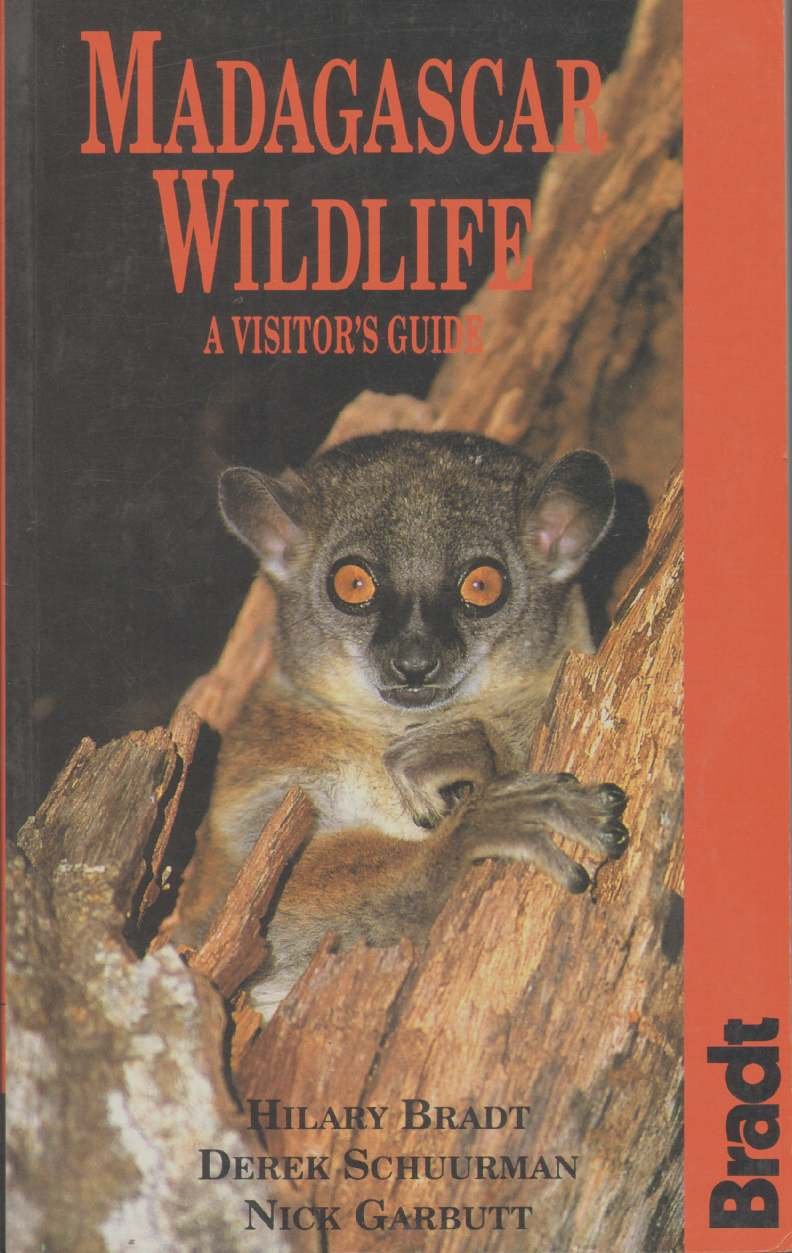 Madagascar Wildlife: A Visitor's Guide 9781898323402