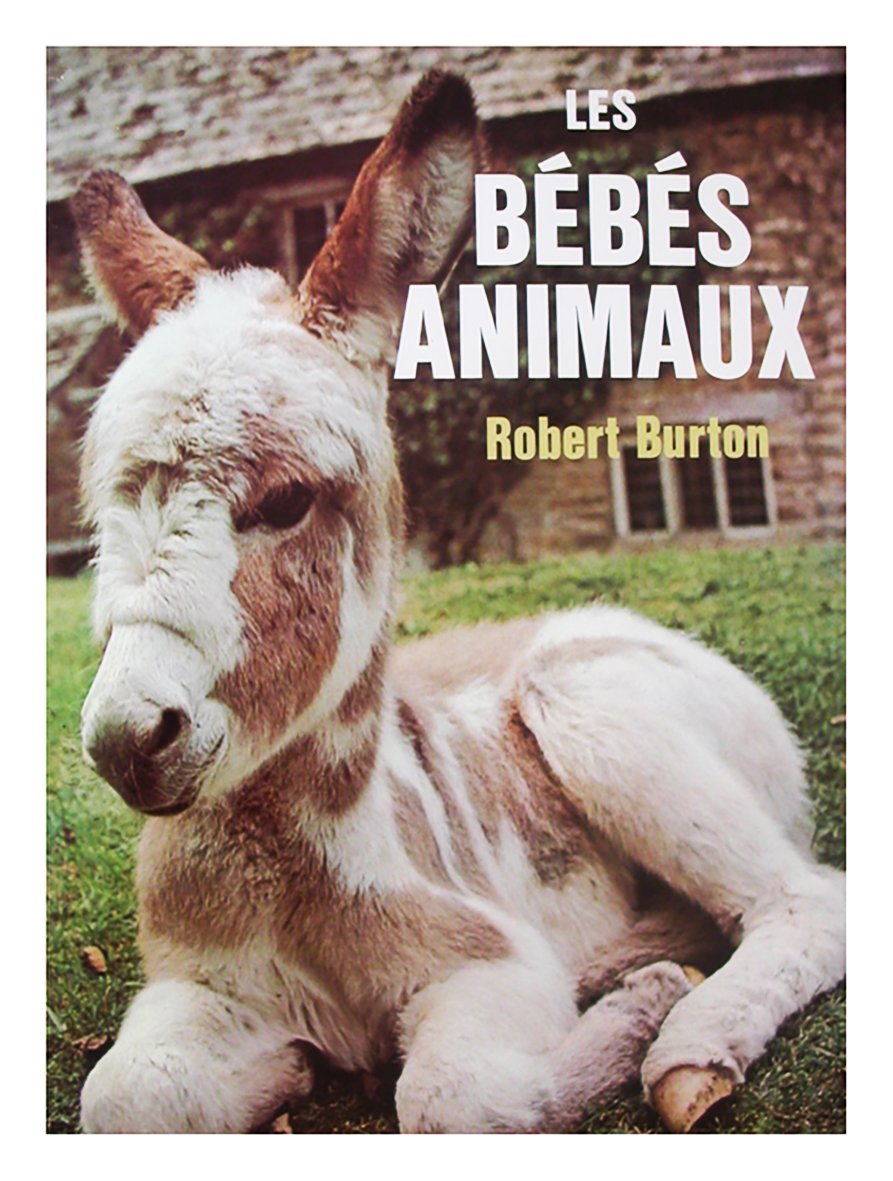 Bébé animaux 9782700050011