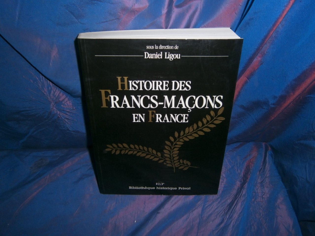 Histoire Des Francs-Macons En France 9782708953345