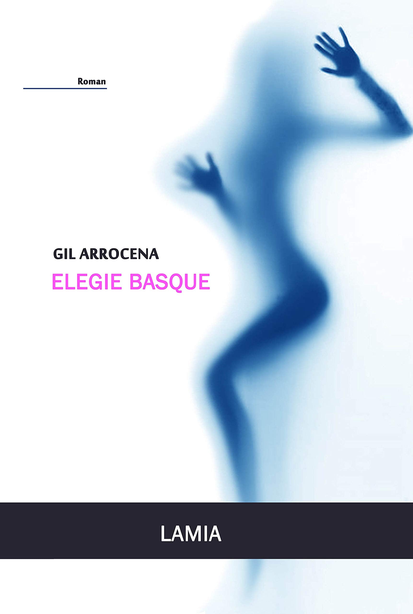 Elégie basque 9782957121007
