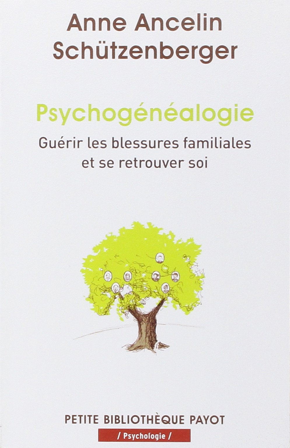 Psychogénéalogie: Guérir les blessures familiales et se retrouver soi 9782228911788