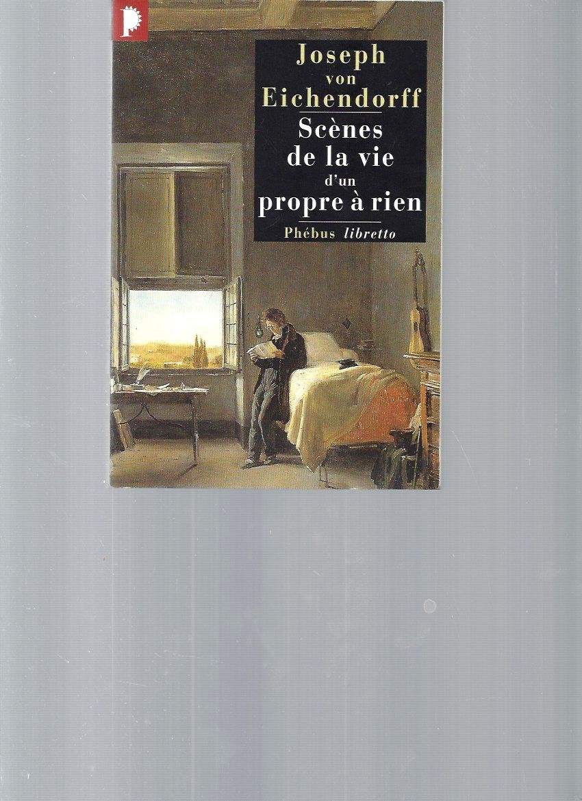 SCENES DE LA VIE D UN PROPRE A RIEN 9782752900197