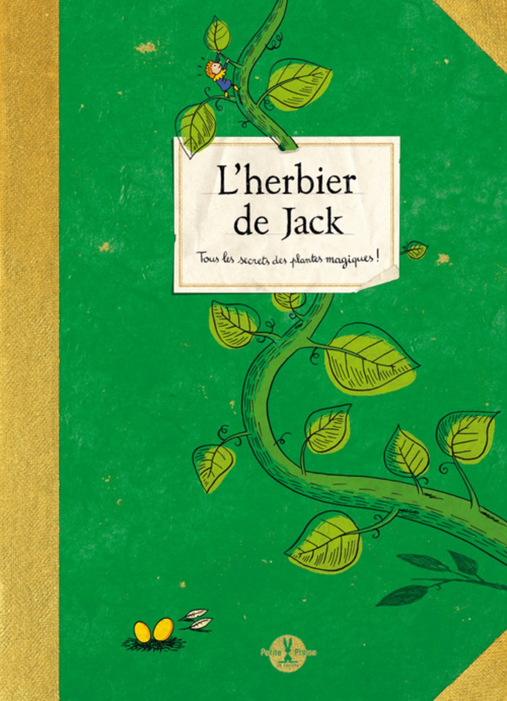 L'Herbier de Jack.Tous les secrets des plantes magiques ! 9782361540371