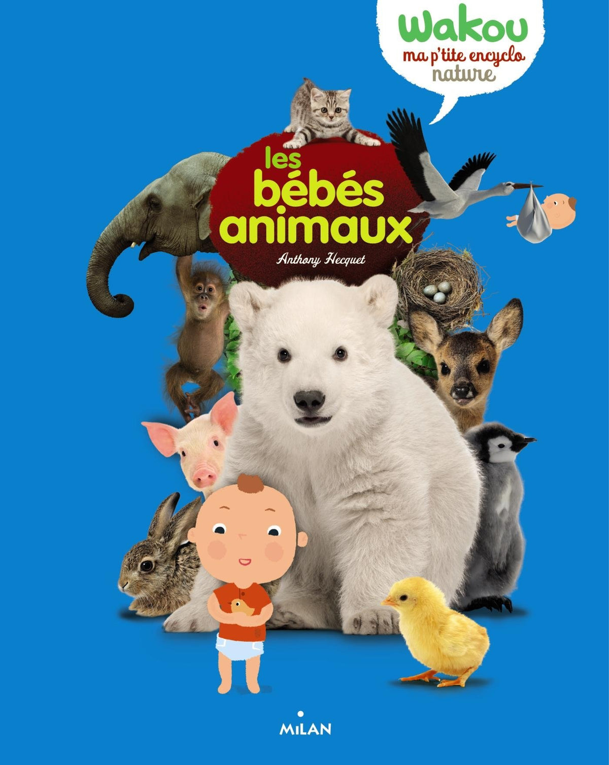 Les bébés animaux 9782745958396