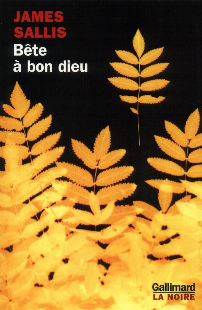 Bête à bon dieu: Une enquête de Lew Griffin 9782070766468