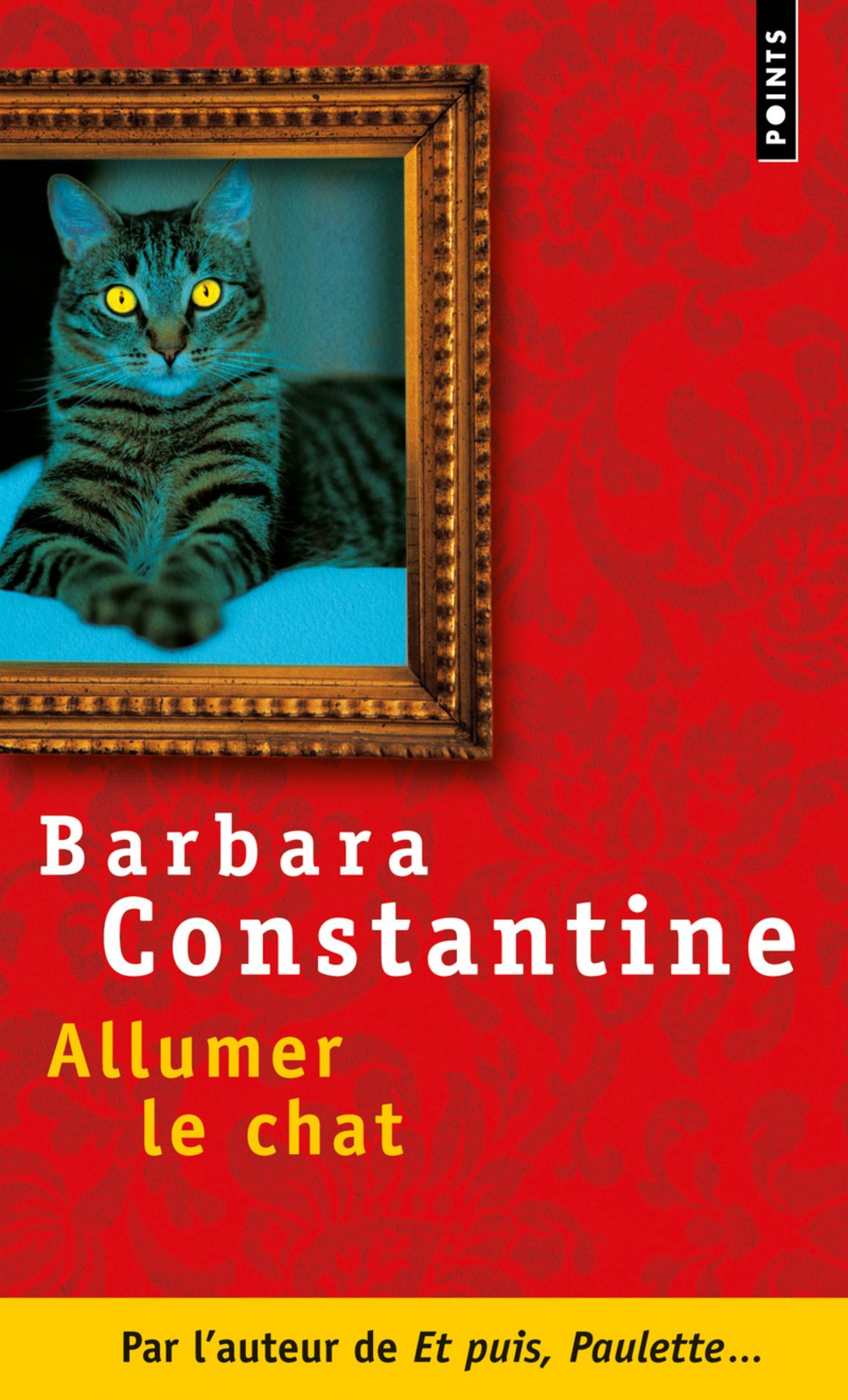 Allumer le chat 9782757805725