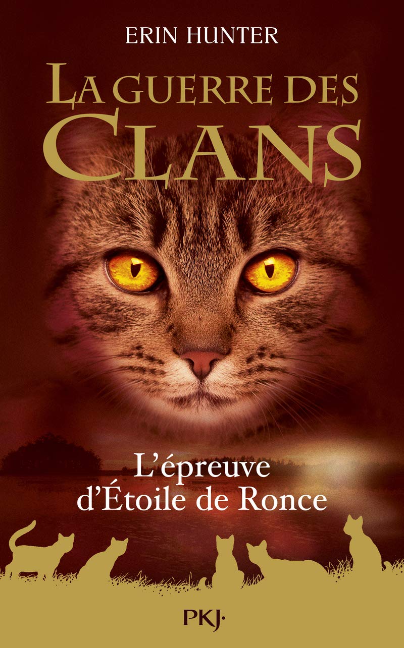 La Guerre des Clans - L'épreuve d'Etoile de Ronce - Hors-série 9782266286862