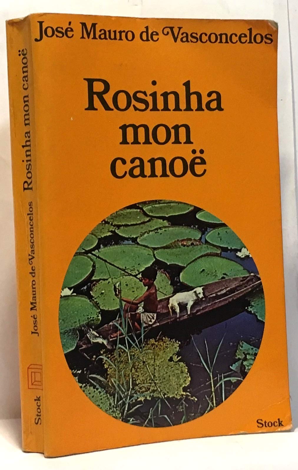 Rosinha, mon canoë : Roman au rythme des rames 9782234001640