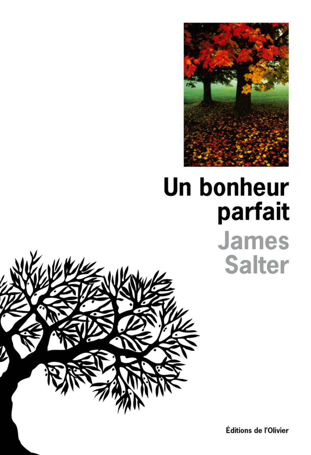 UN BONHEUR PARFAIT 9782879290225