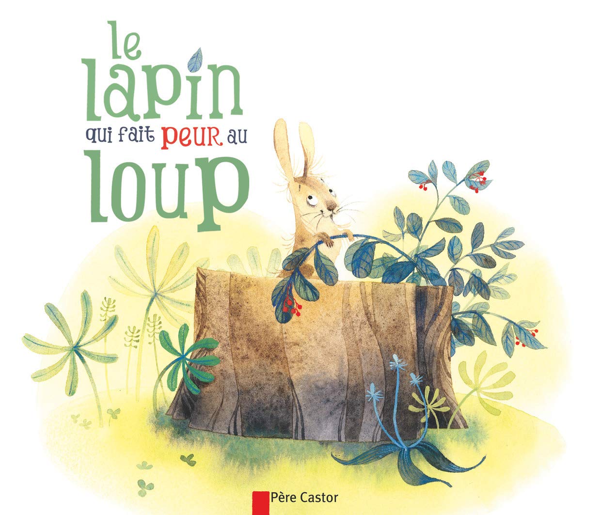 Le lapin qui fait peur au loup 9782081246577