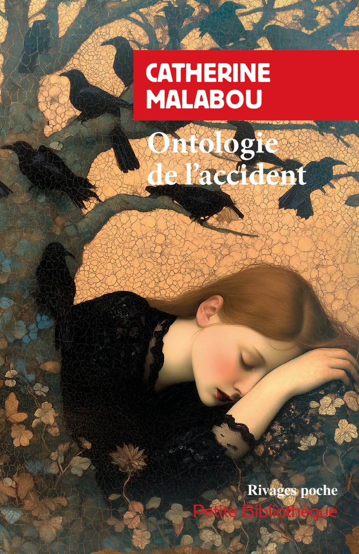 Ontologie de l'accident 9782743671020