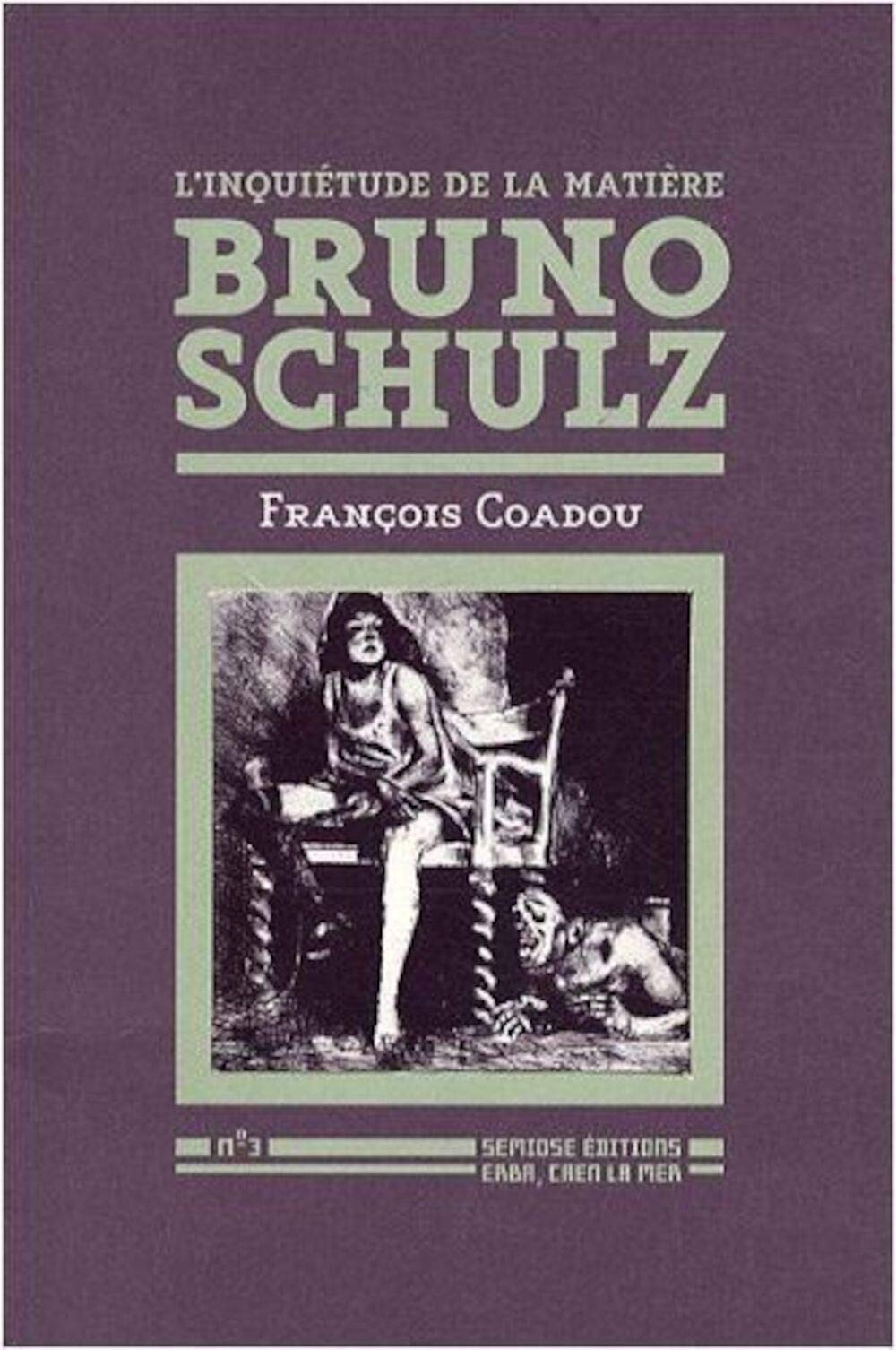 Bruno Schulz: L'inquiétude de la matière 9782915199215