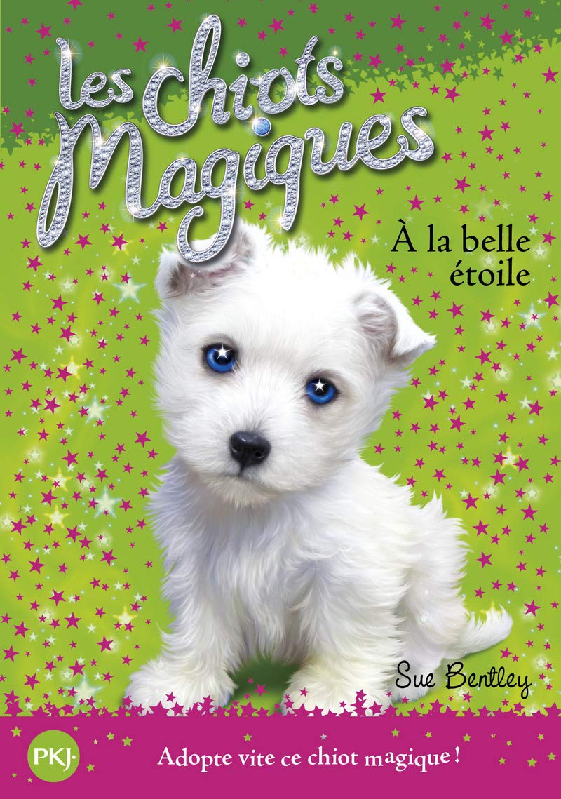 Les chiots magiques - tome 06 : À la belle étoile (06) 9782266189392