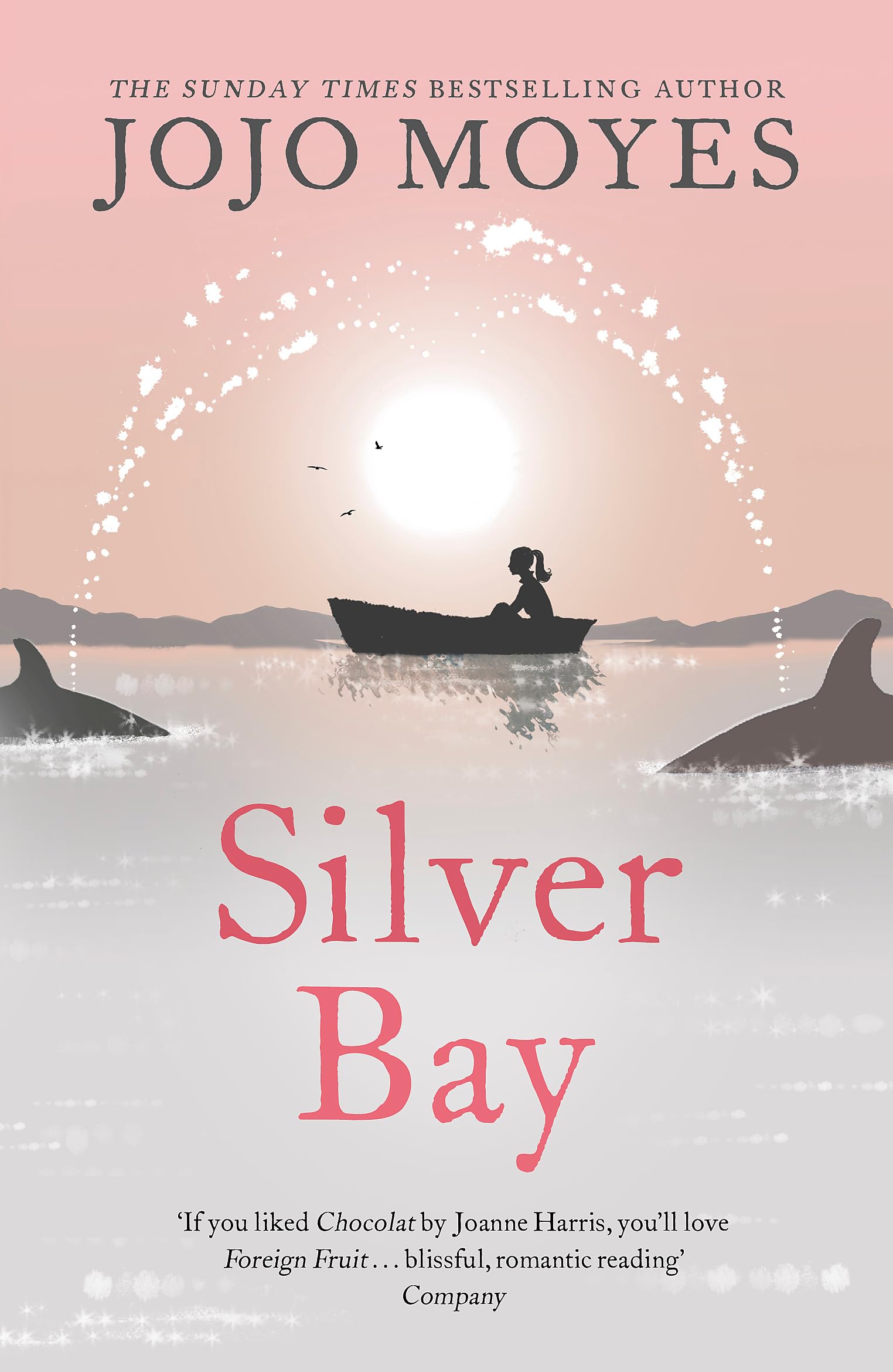 Silver Bay: 'Surprising and genuinely moving' - The Times 9780340895931