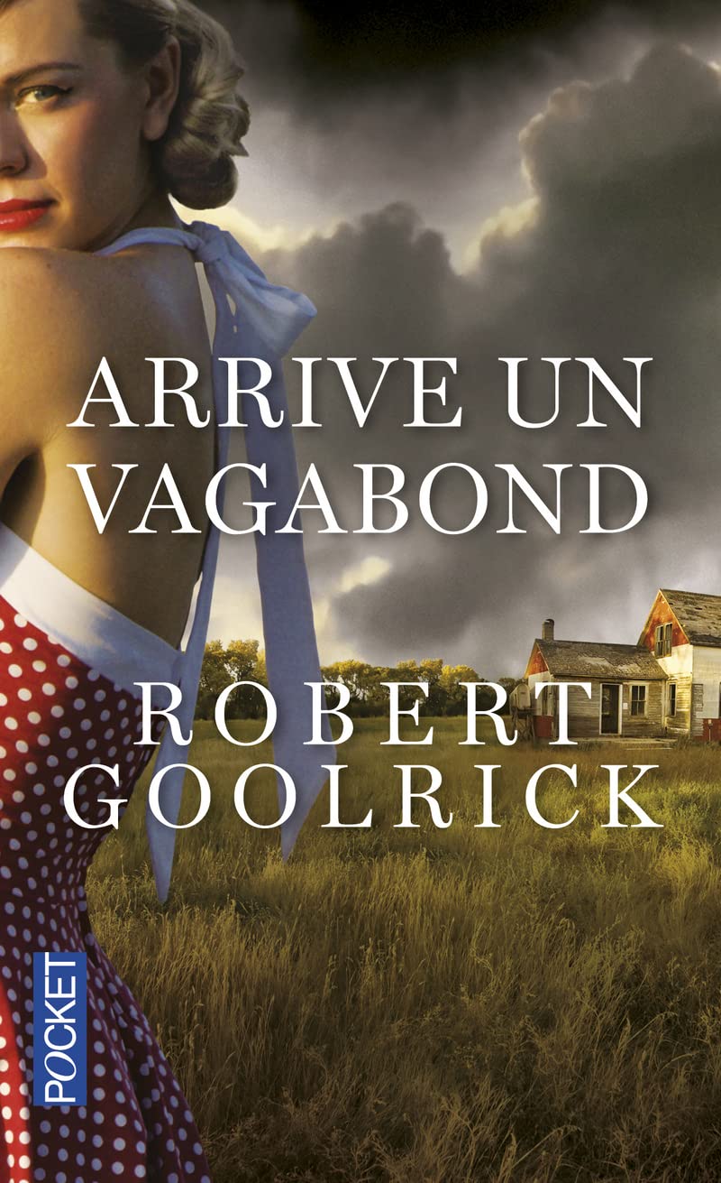 Arrive un vagabond - Grand Prix des lectrices de Elle 2013 9782266235259