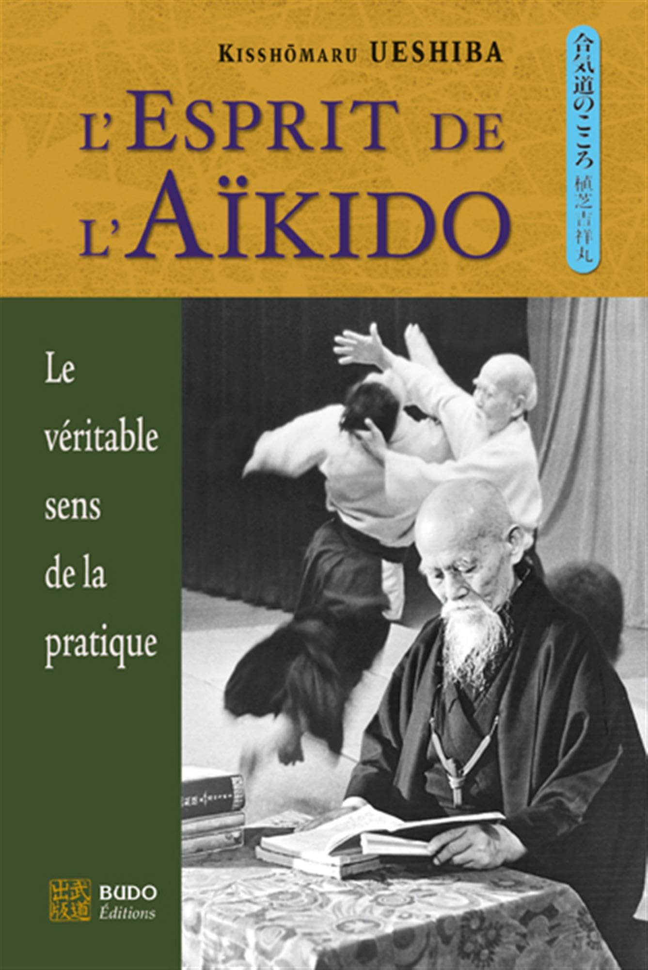 EL'esprit de l'aïkido: Le véritable sens de la pratique 9782846173445