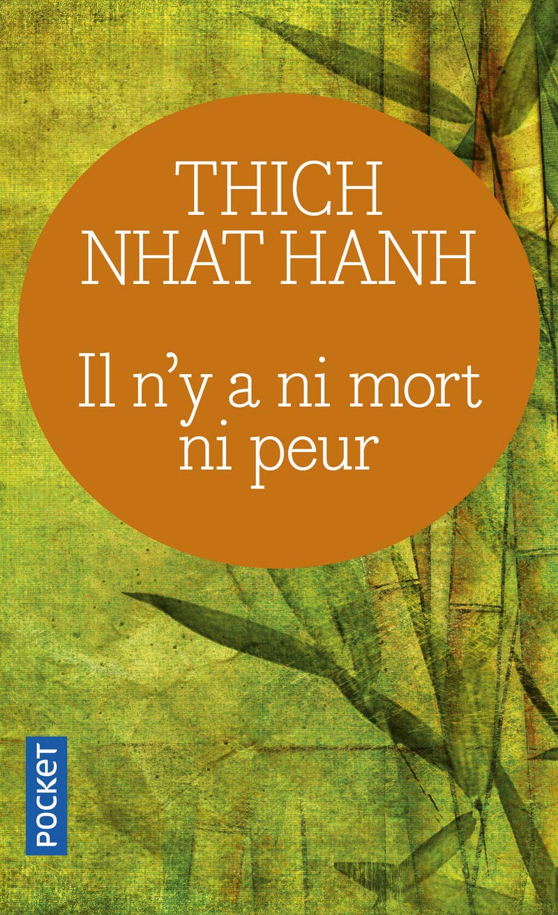 Il n'y a ni mort ni peur: Une sagesse réconfortante pour la vie 9782266149105