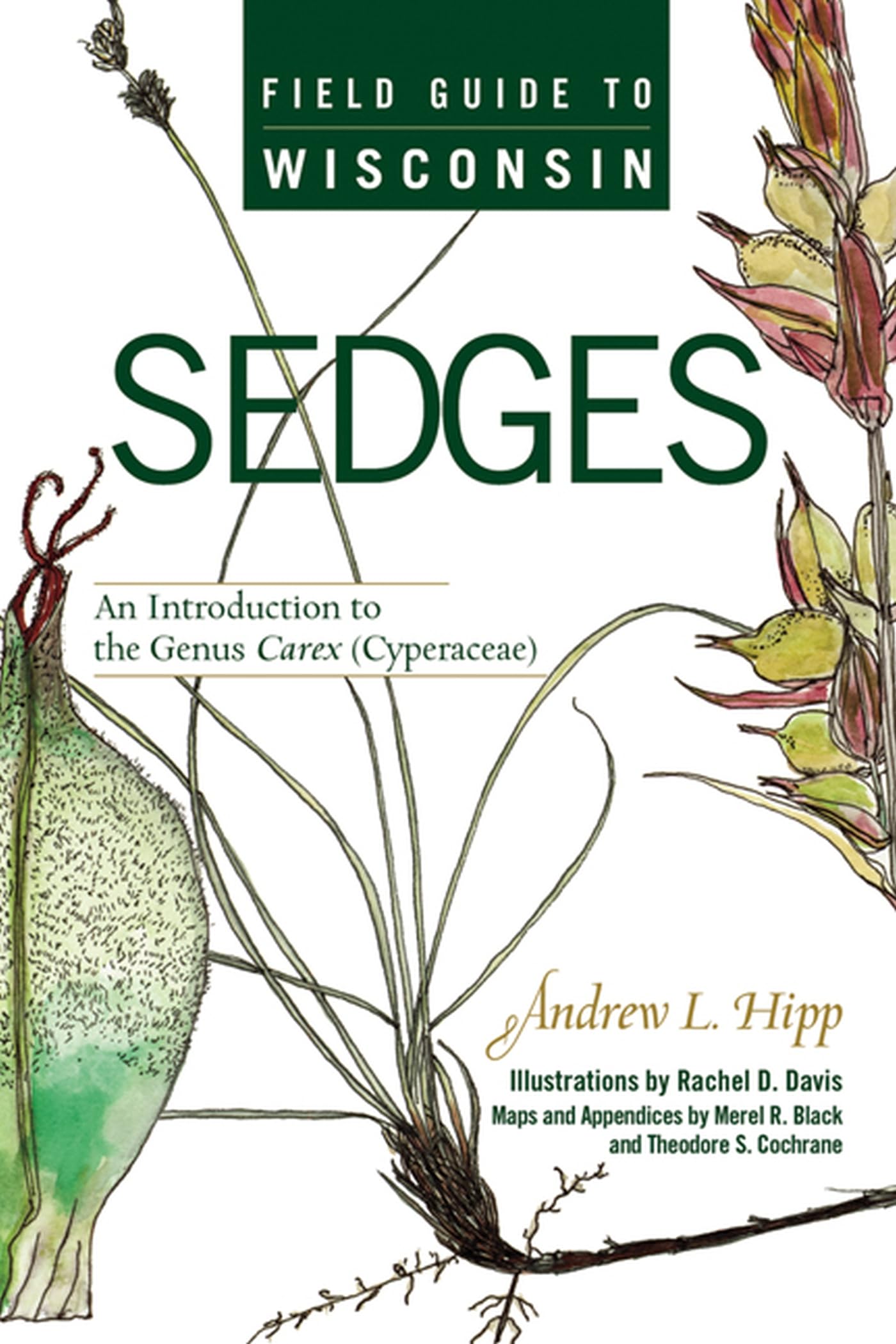 Field Guide to Wisconsin Sedges: An Introduction to the Genus Carex Cyperaceae 9780299225940