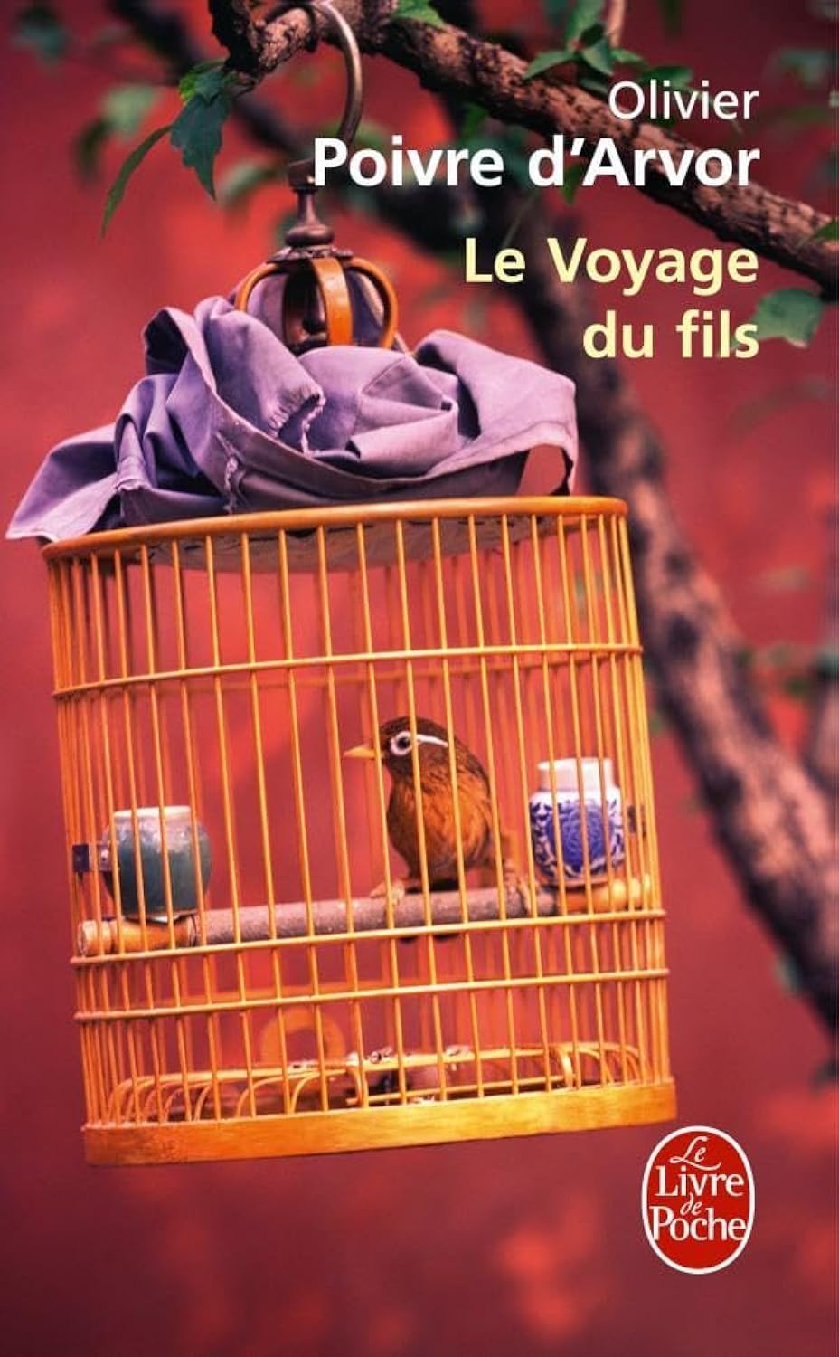 Le Voyage du fils 9782253129073