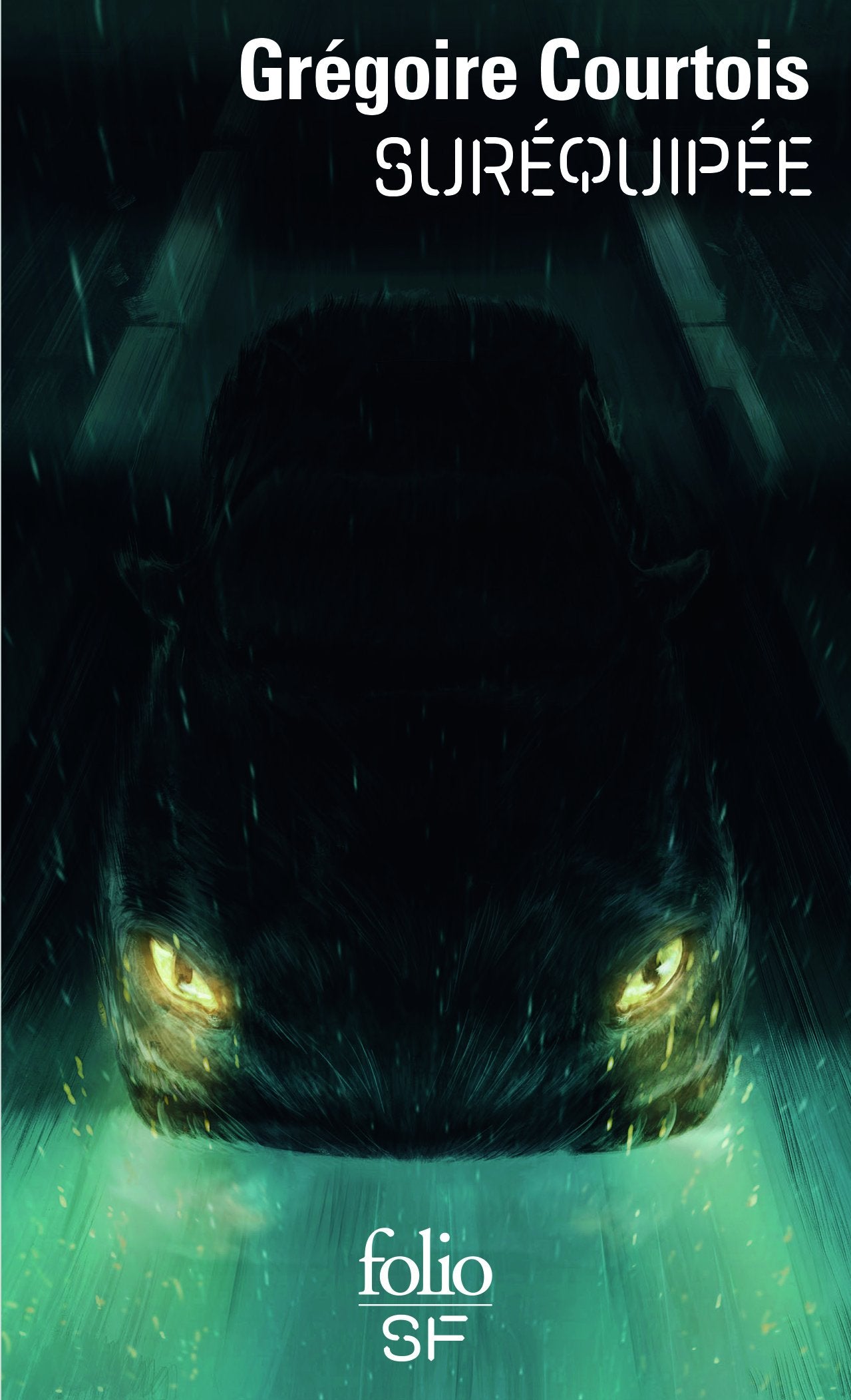 Suréquipée 9782072711206