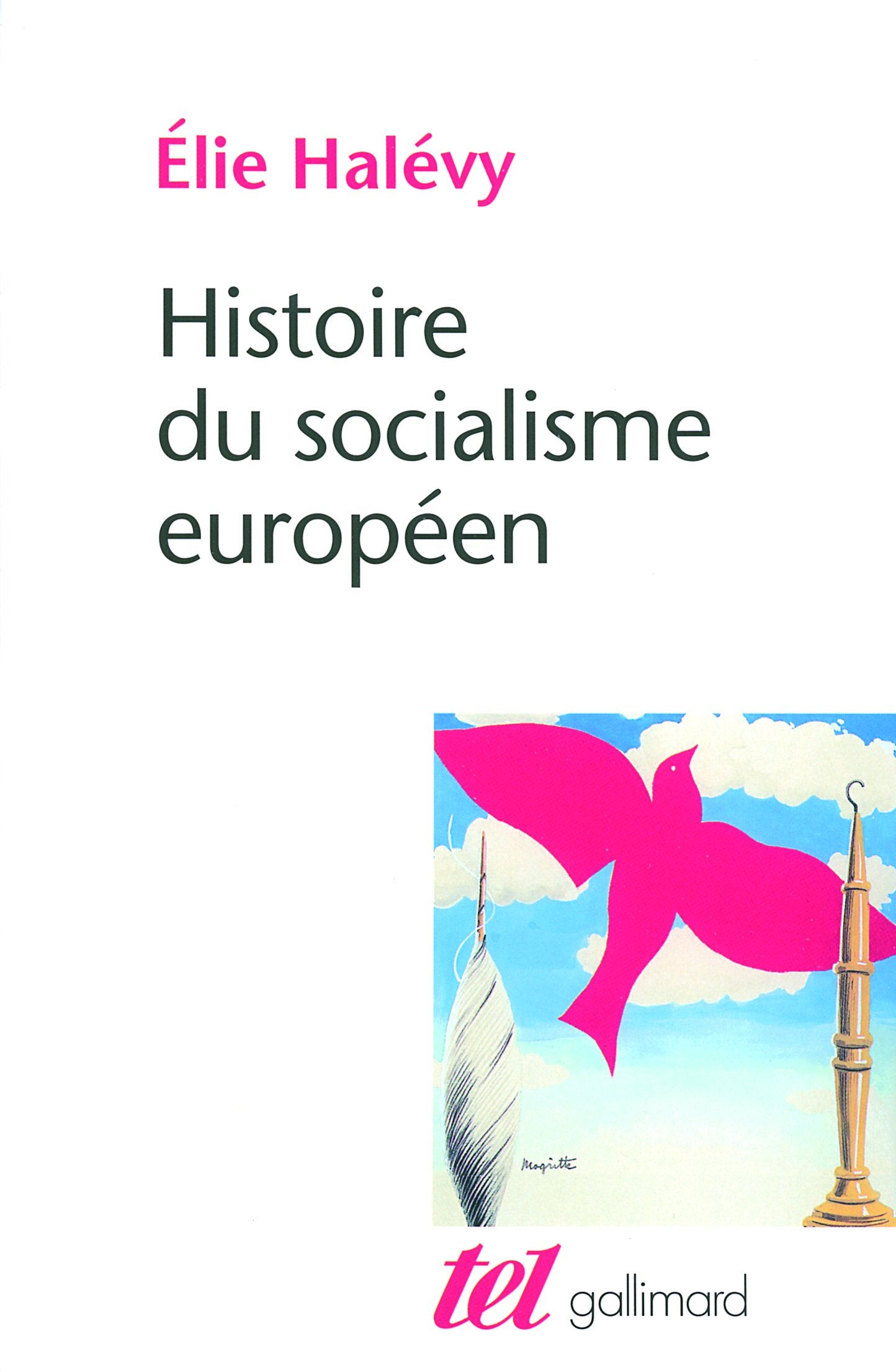 Histoire du socialisme européen 9782070781898