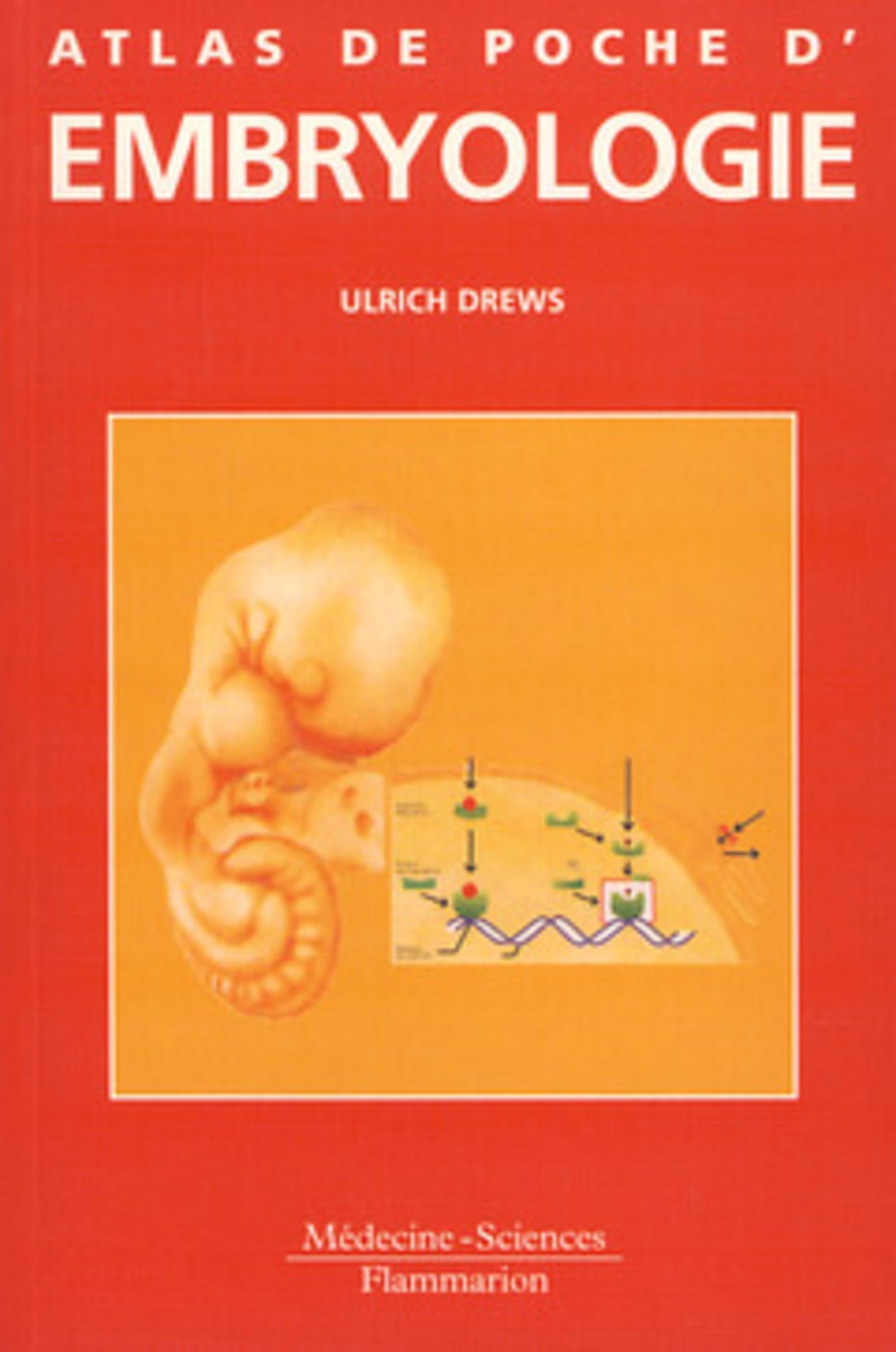 Atlas de poche d'embryologie 9782257101150
