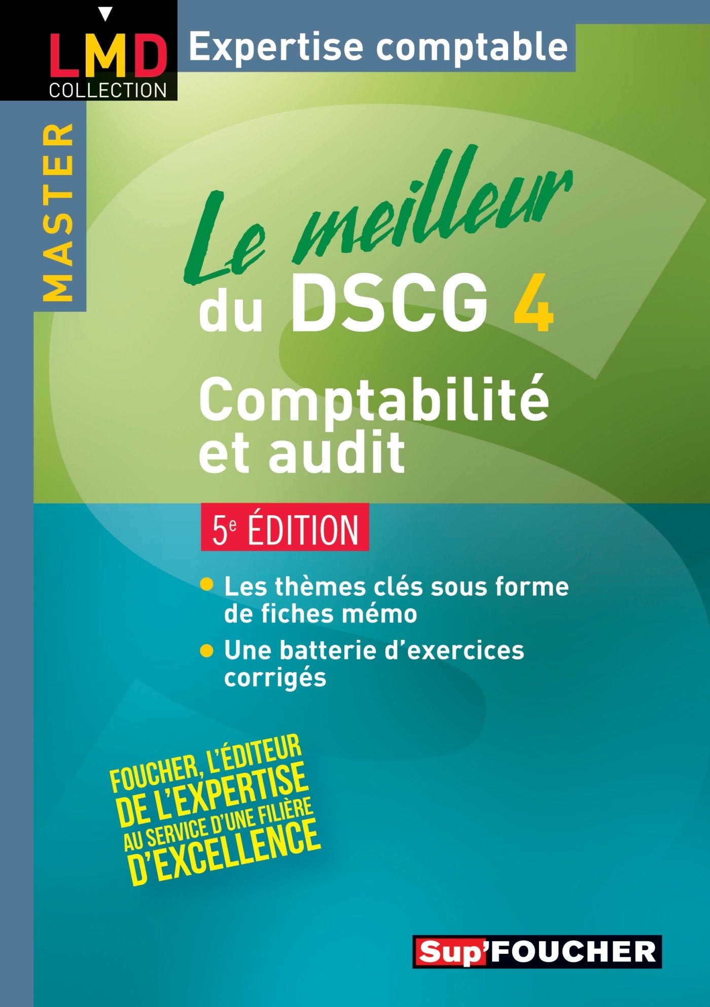 Le meilleur du DSCG 4, comptabilité et audit 9782216131303