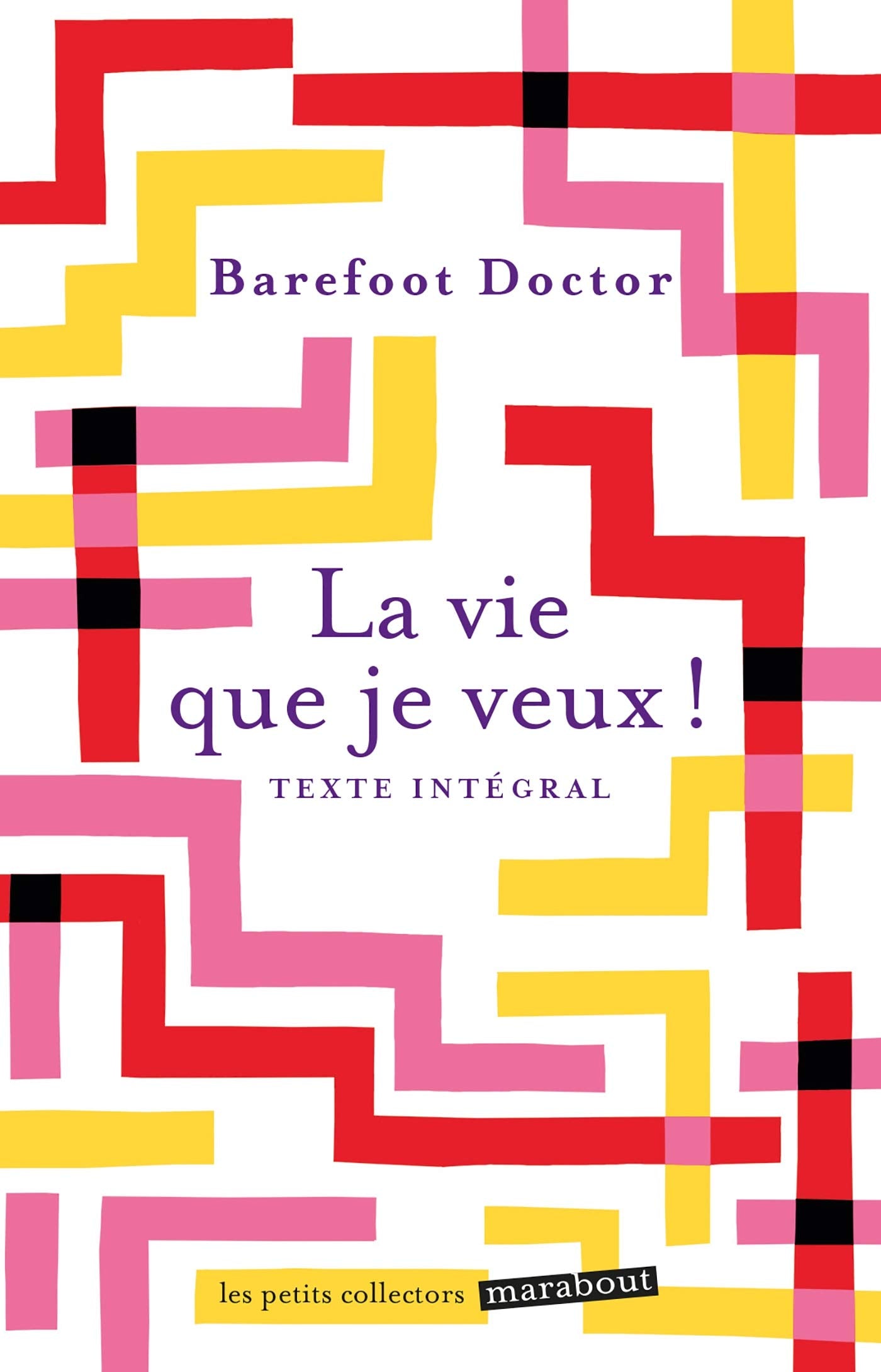 La vie que je veux: Transformez vos désirs en réalité 9782501135344