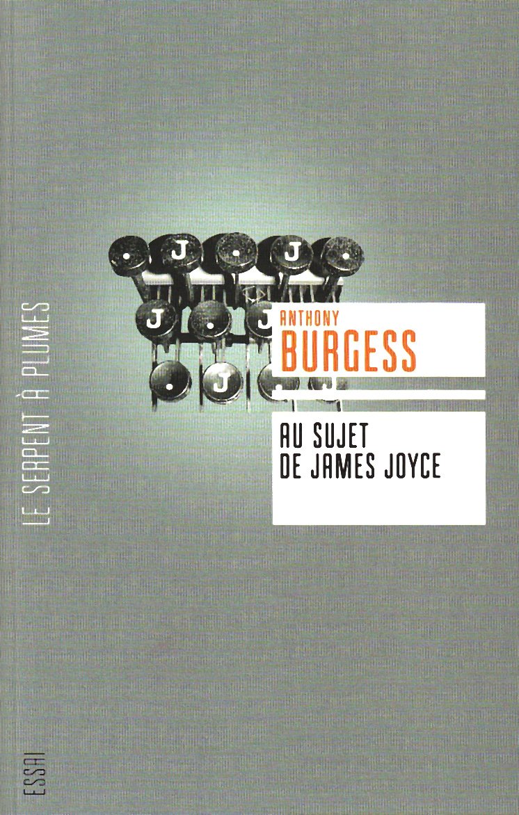 Au sujet de James Joyce: Une introduction pour le lecteur ordinaire 9782268064697