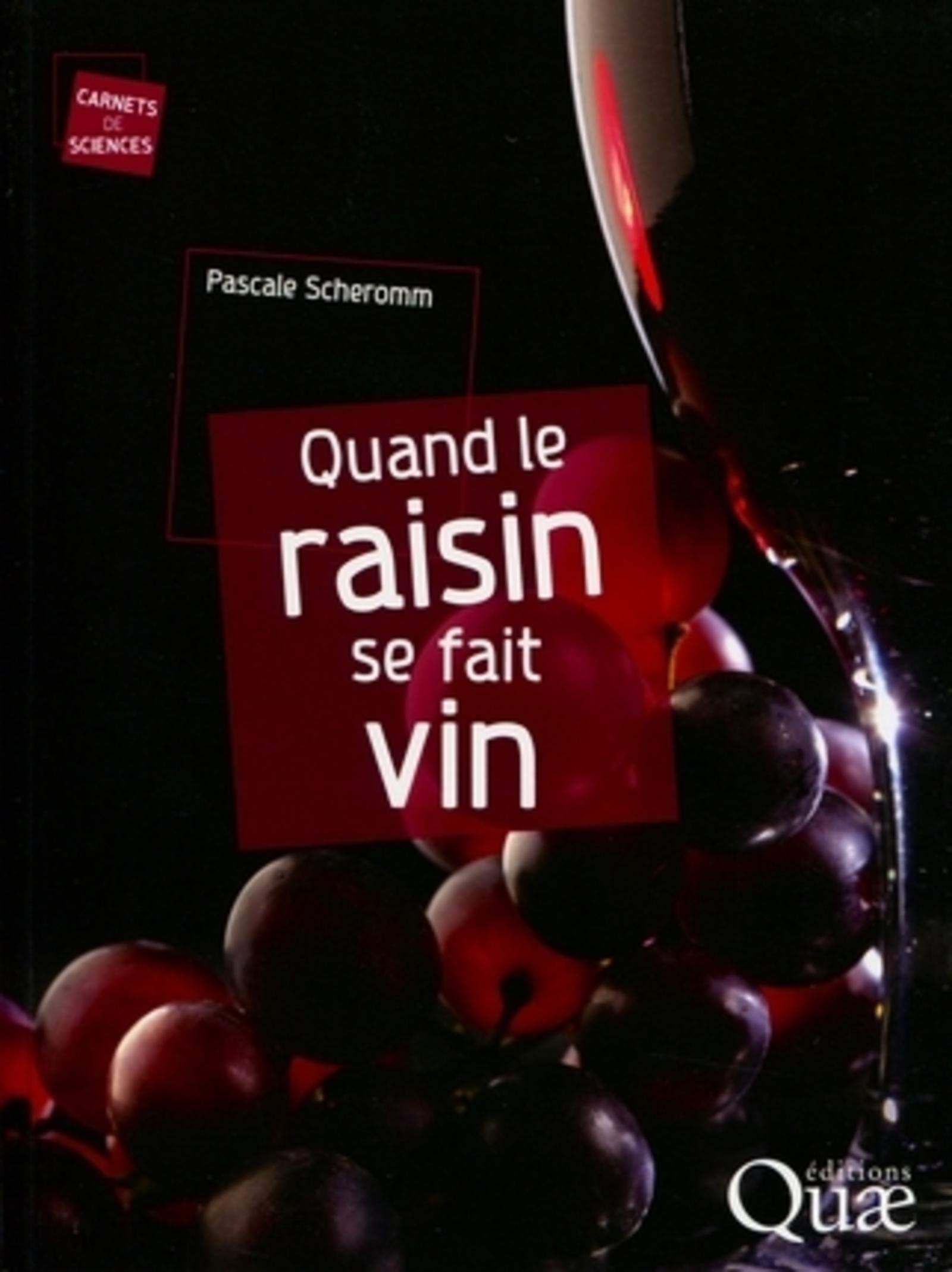 Quand le raisin se fait vin 9782759209316