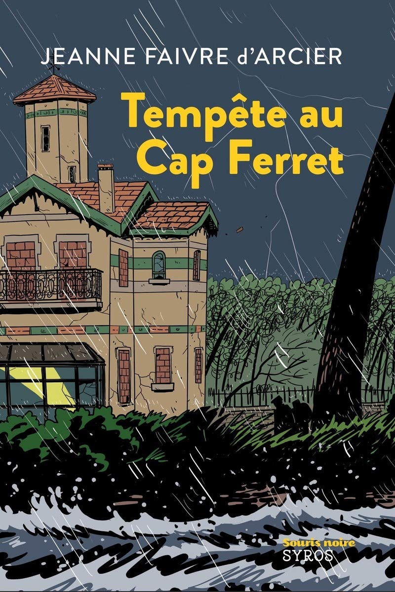 Tempête au Cap Ferret 9782748526707
