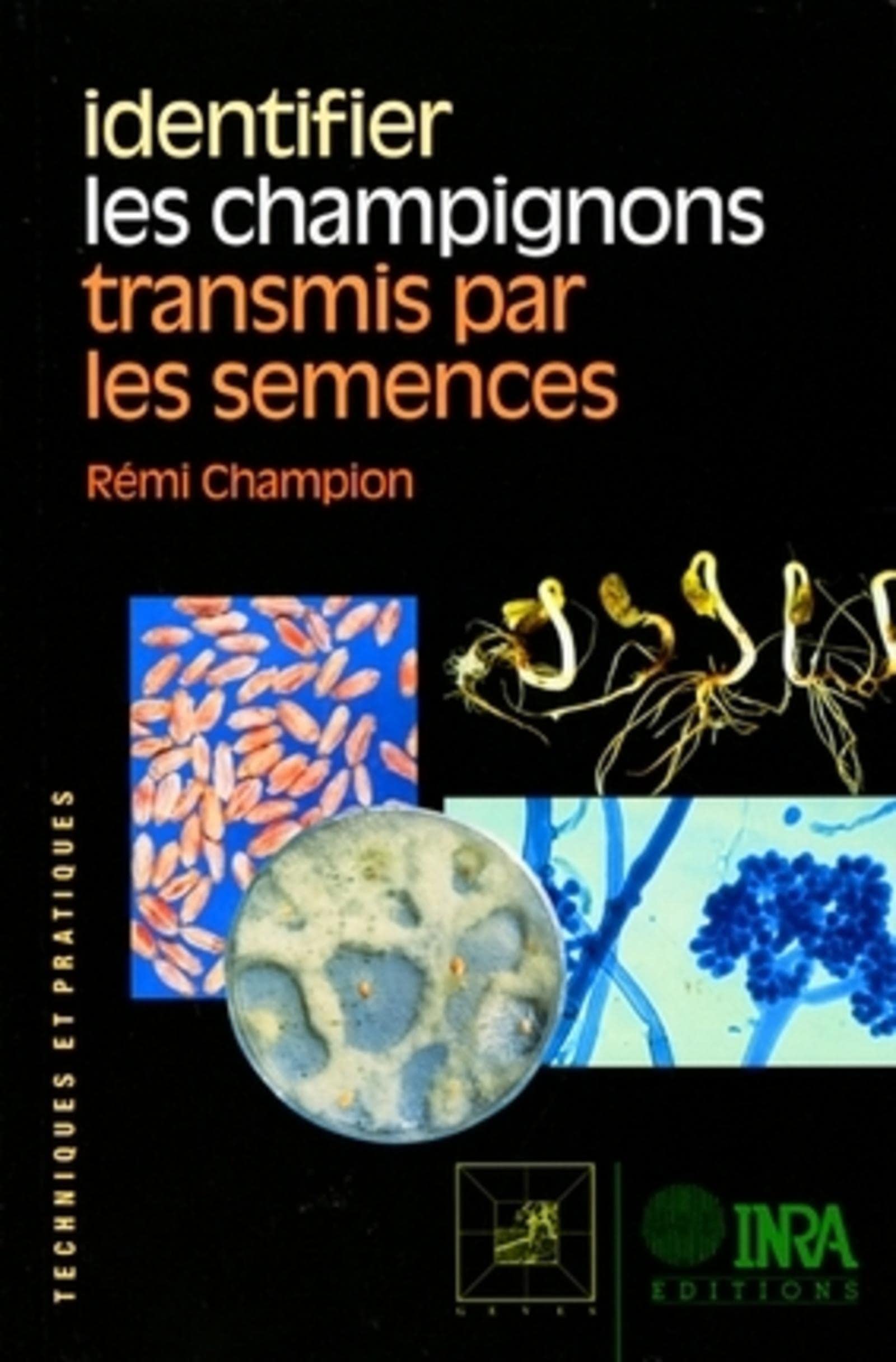 Identifier les champignons transmis par les semences 9782738007025