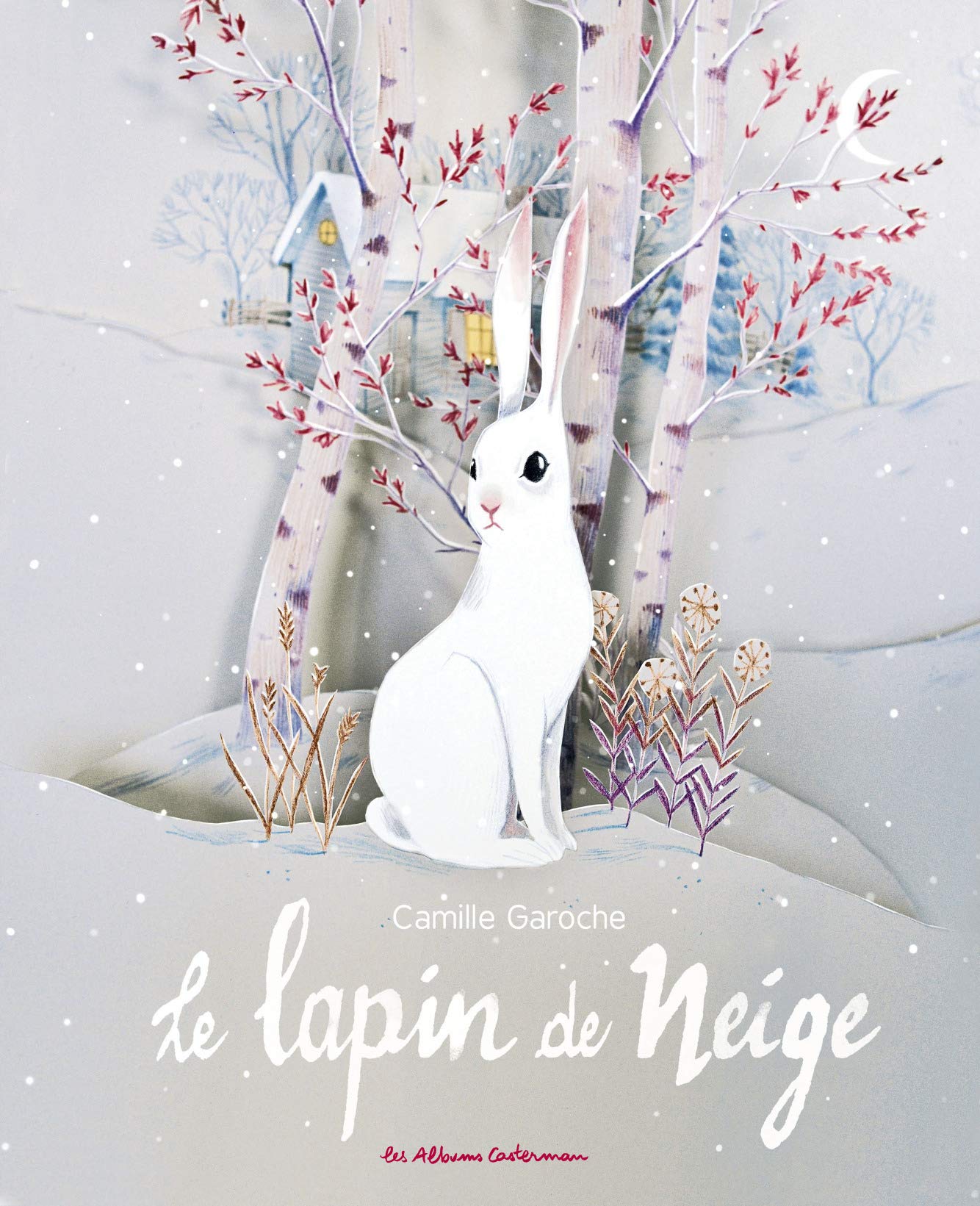 Le lapin de neige 9782203120808