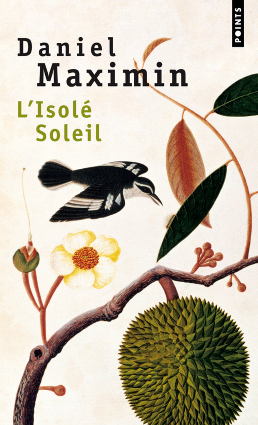 L'Isolé Soleil 9782020059190