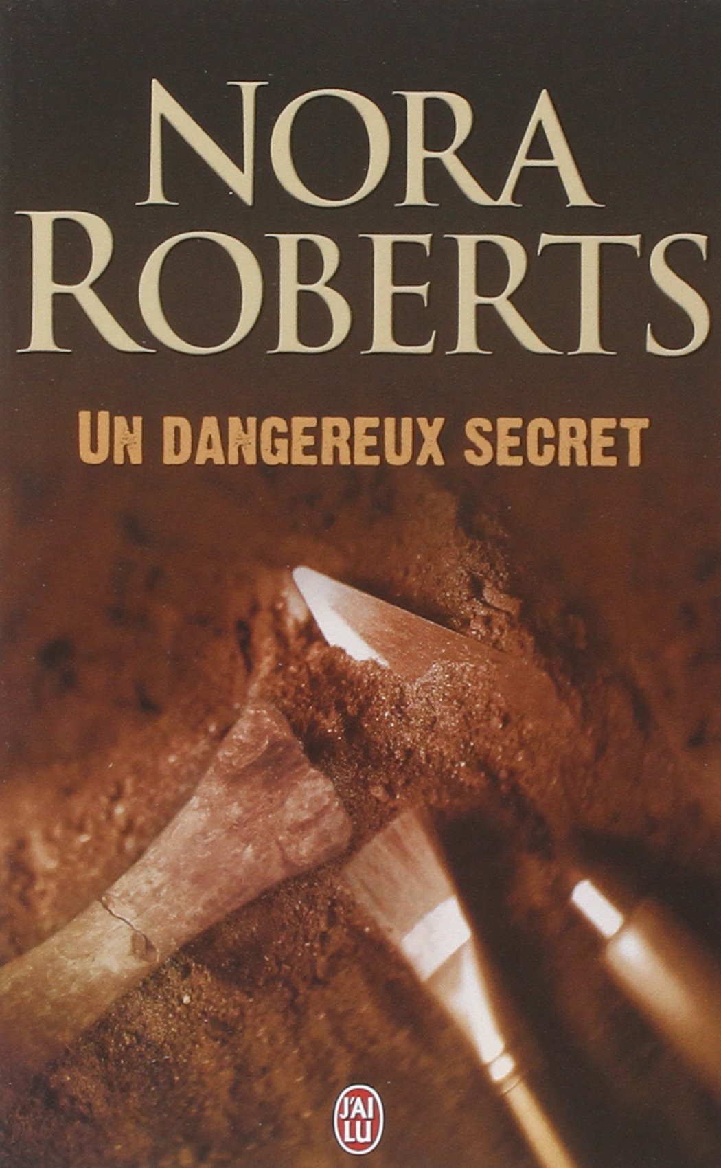 Un dangereux secret 9782290342114