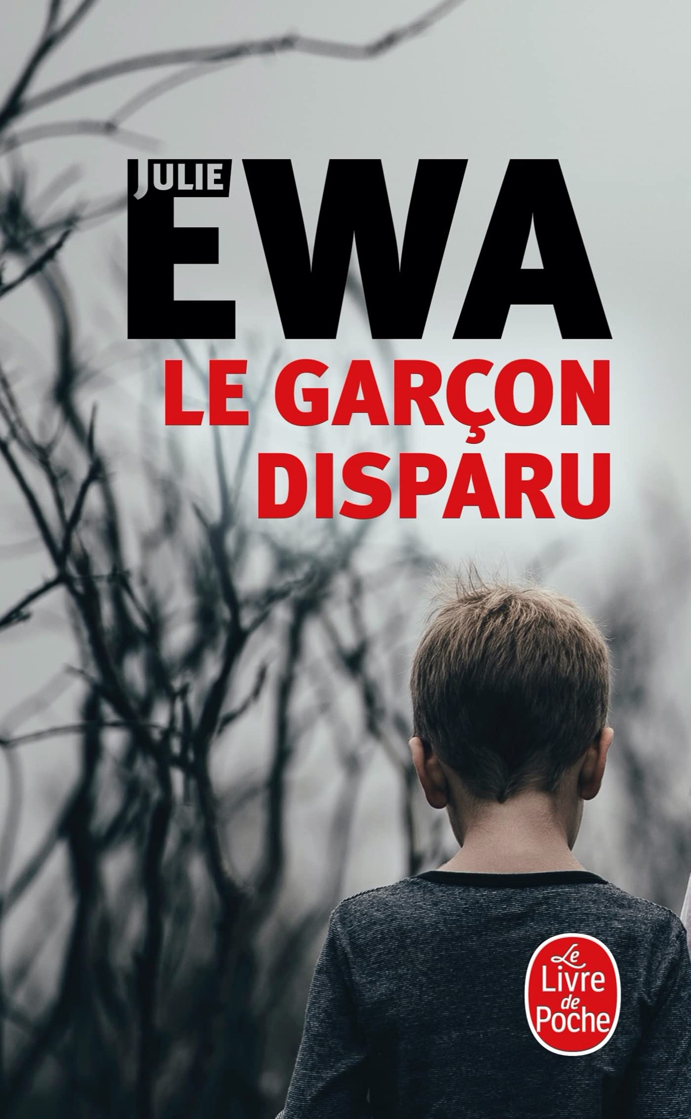 Le Garçon disparu 9782253241614