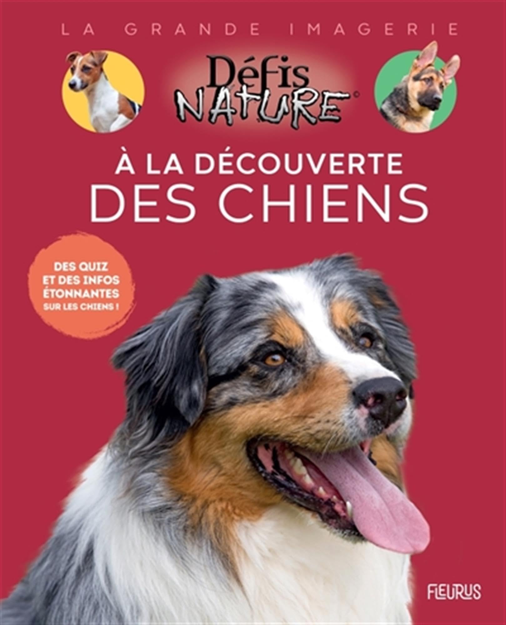À la découverte des chiens 9782215188414