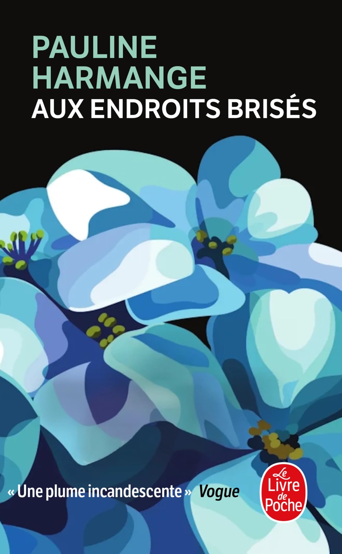 Aux endroits brisés 9782253940708