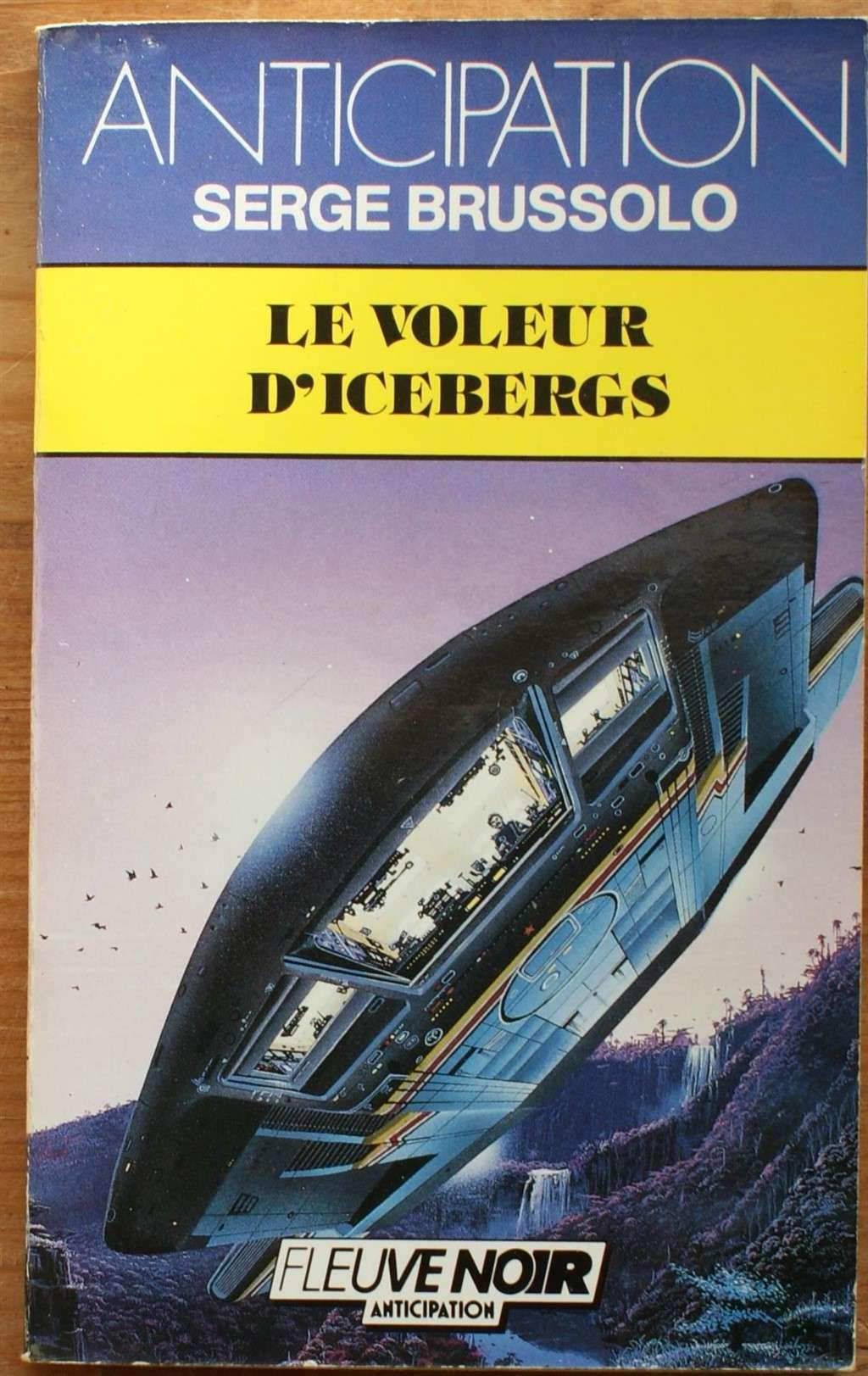 Le voleur d'icebergs 9782265037977