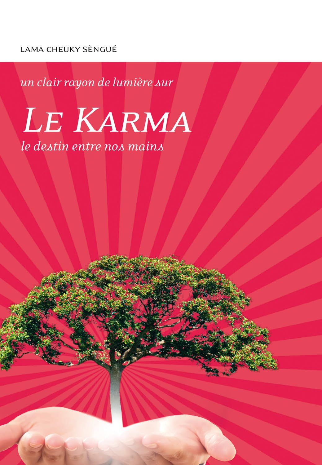 Le Karma - Le destin entre nos mains 9782354540210