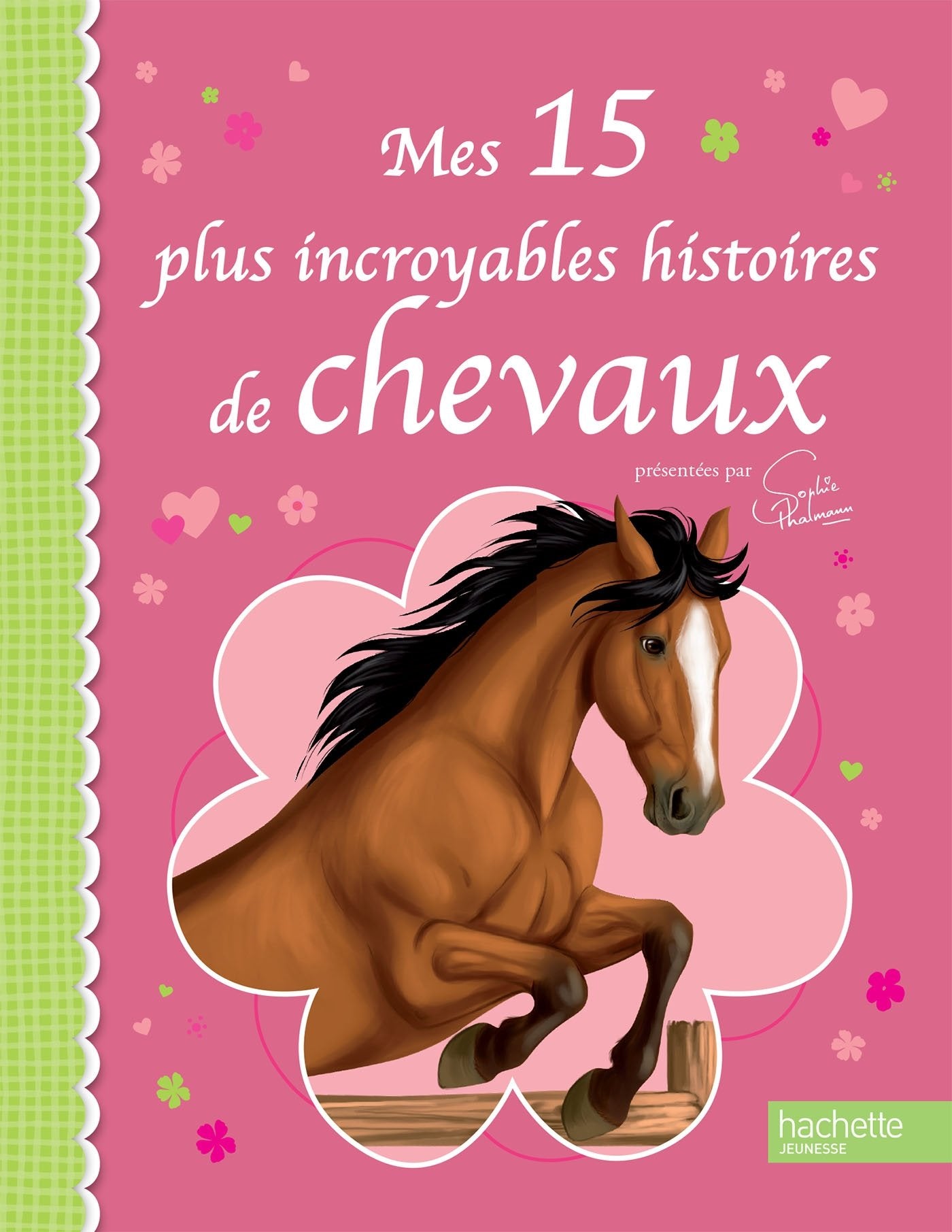 Mes 15 plus incroyables histoires de chevaux 9782012206120