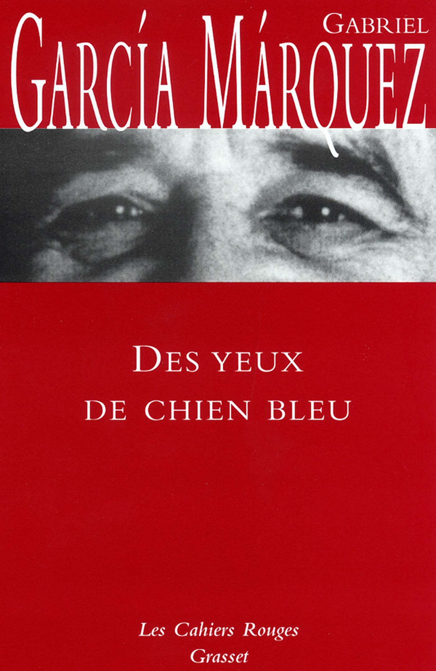 Des yeux de chien bleu 9782246314523